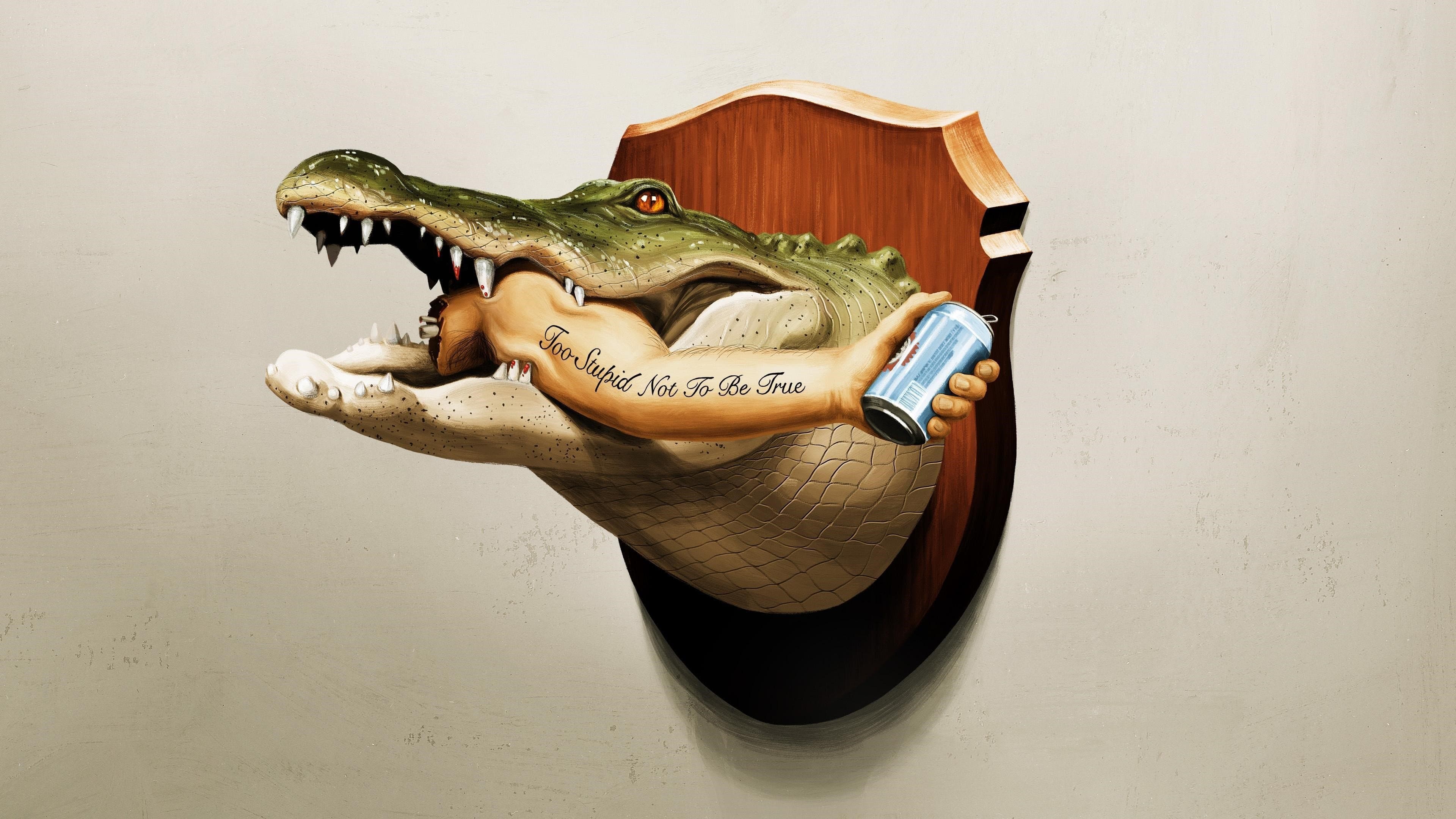 이게 바로 플로리다