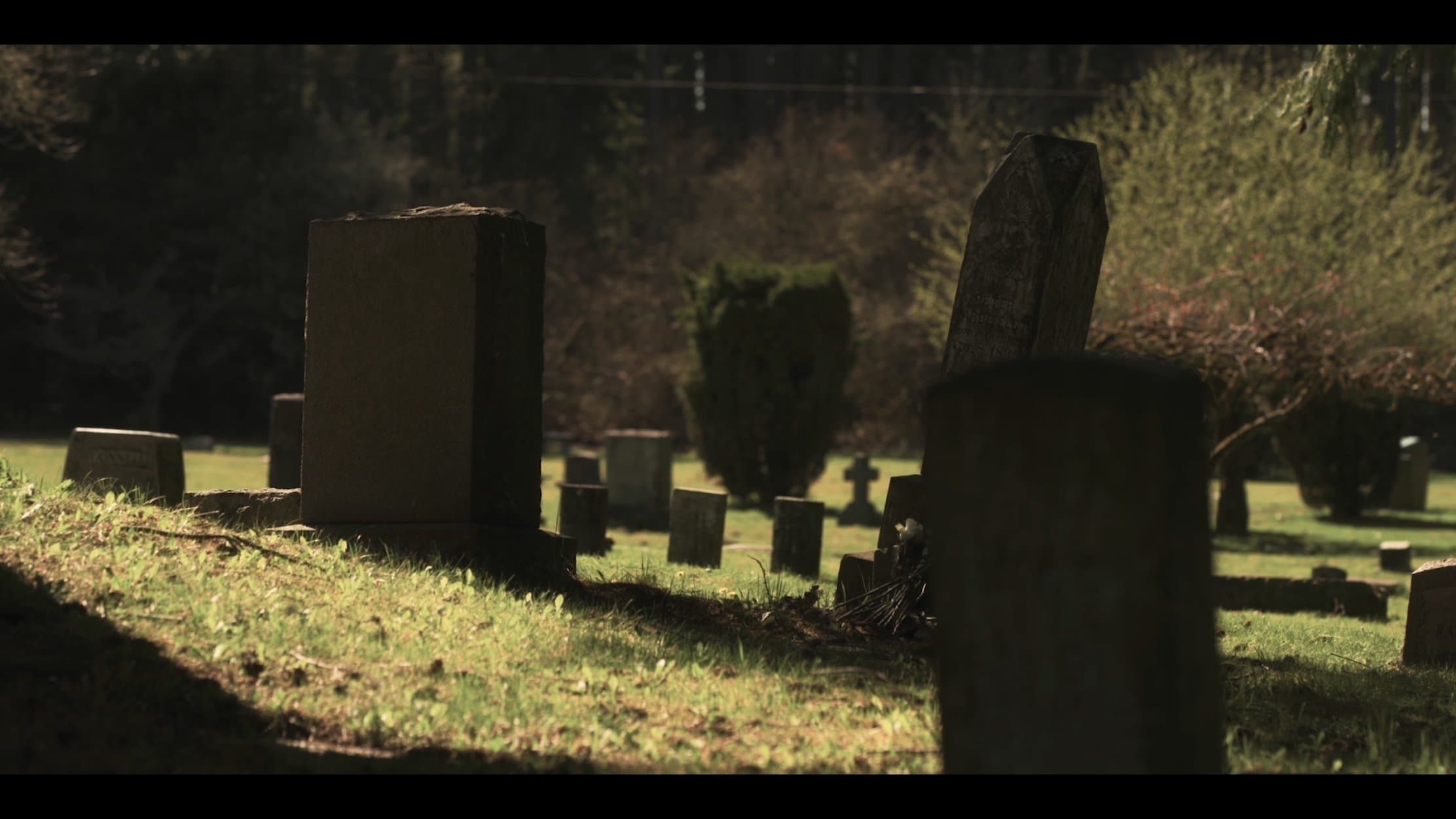 기묘한 이야기: 리플레이