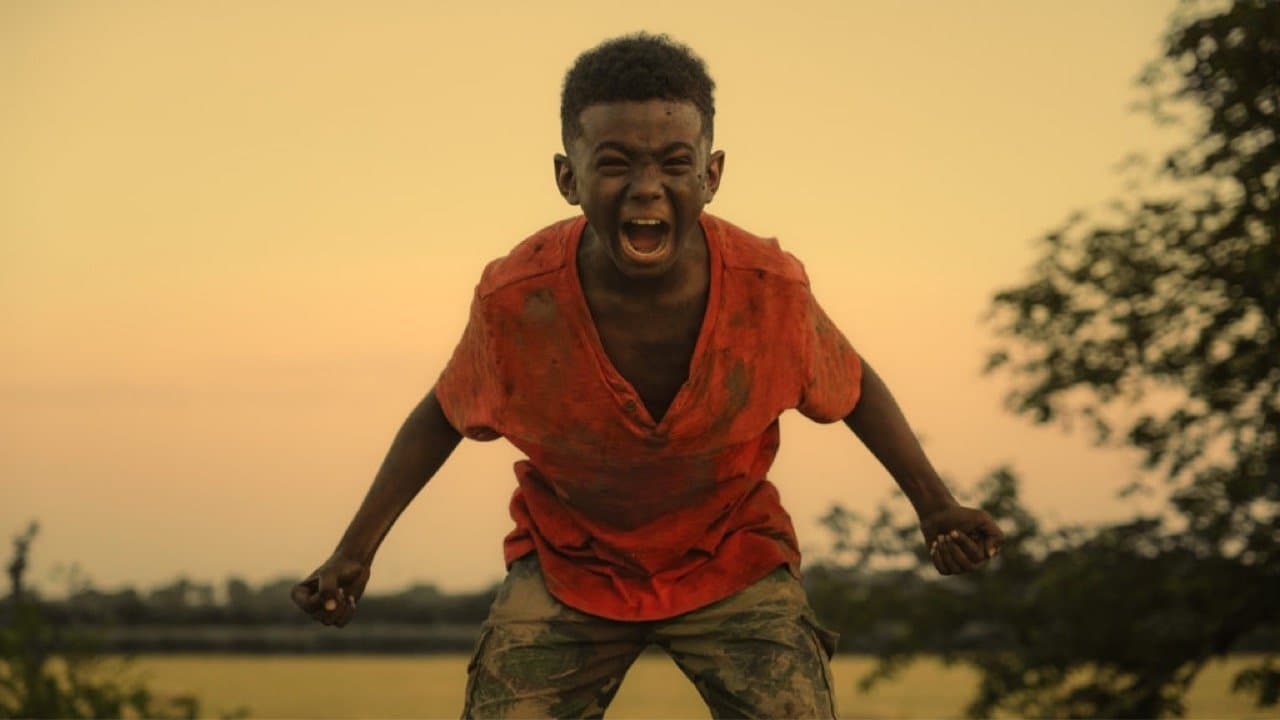 더 라스트 트리