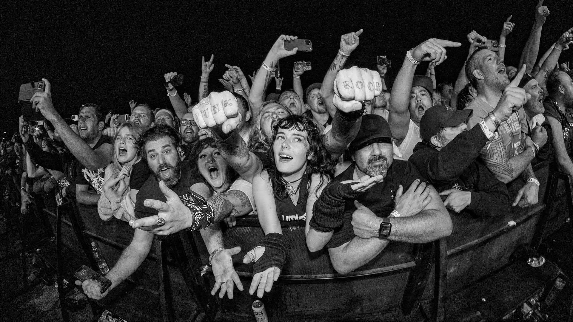 40 YEARS OF FUCKIN’ UP