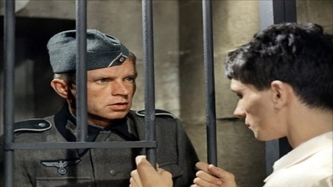 부르주의 프란시스칸