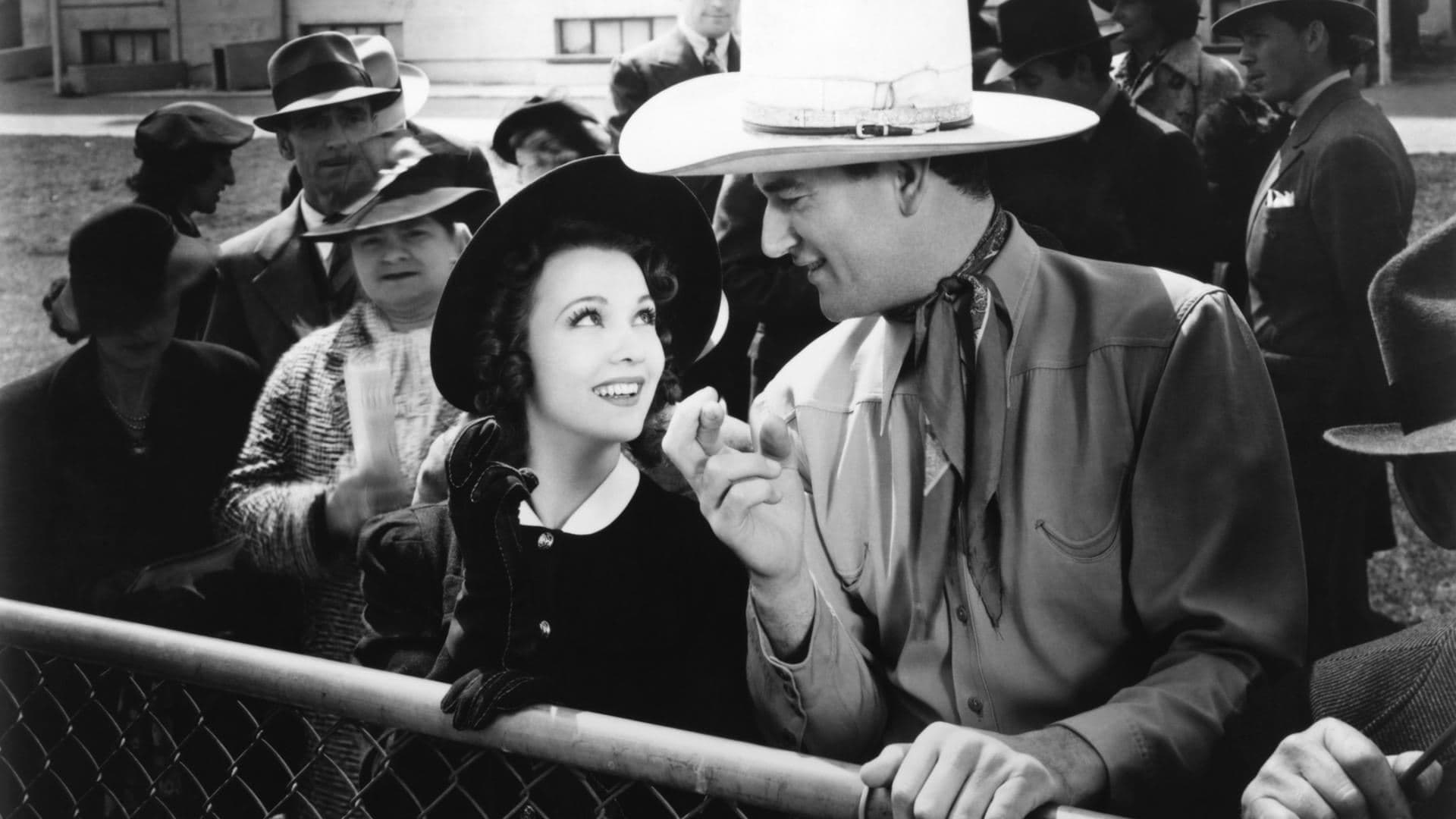 쓰리 텍사스 스티어스