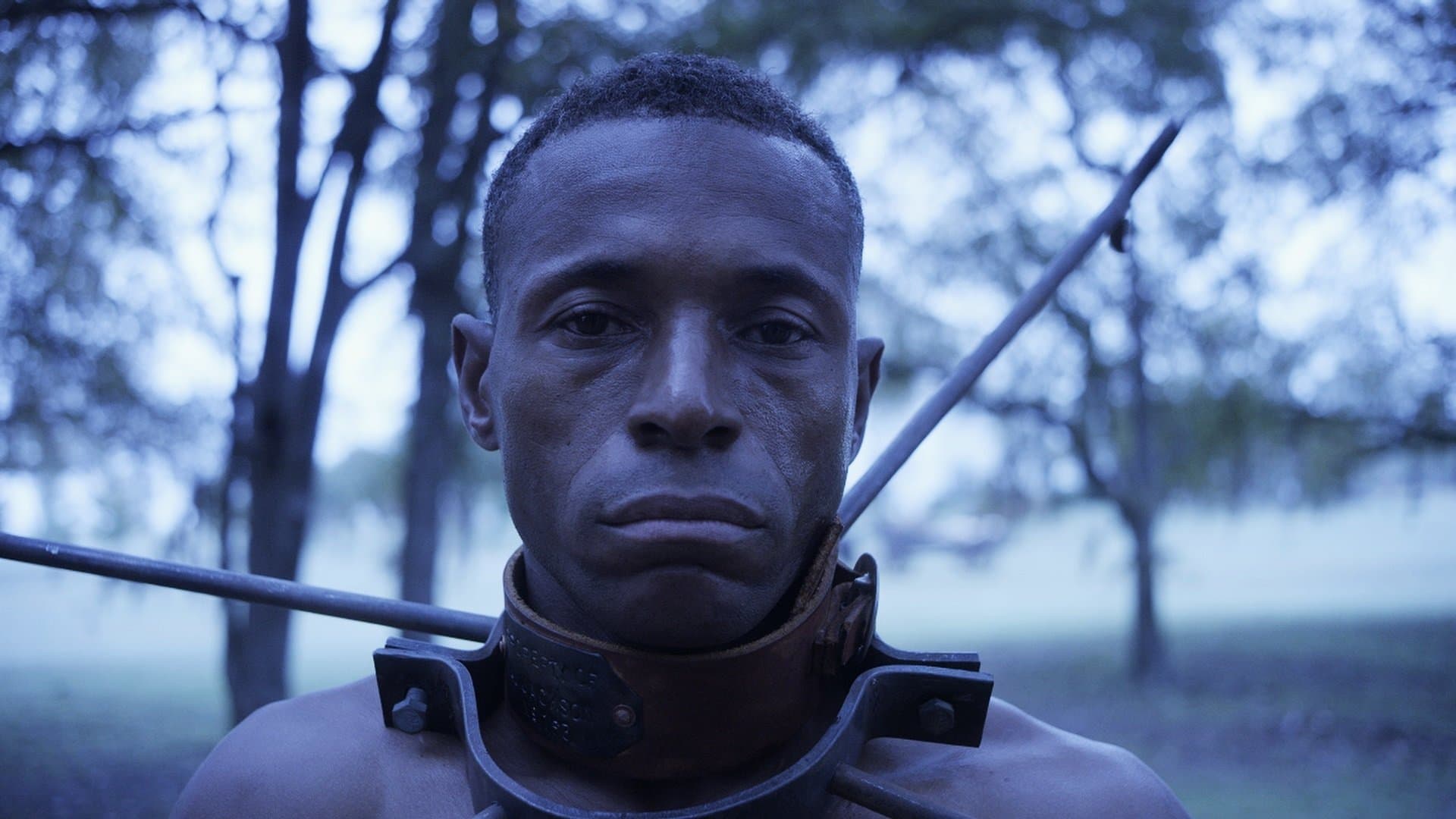 힐러리의 아메리카: 민주당의 비밀의 역사