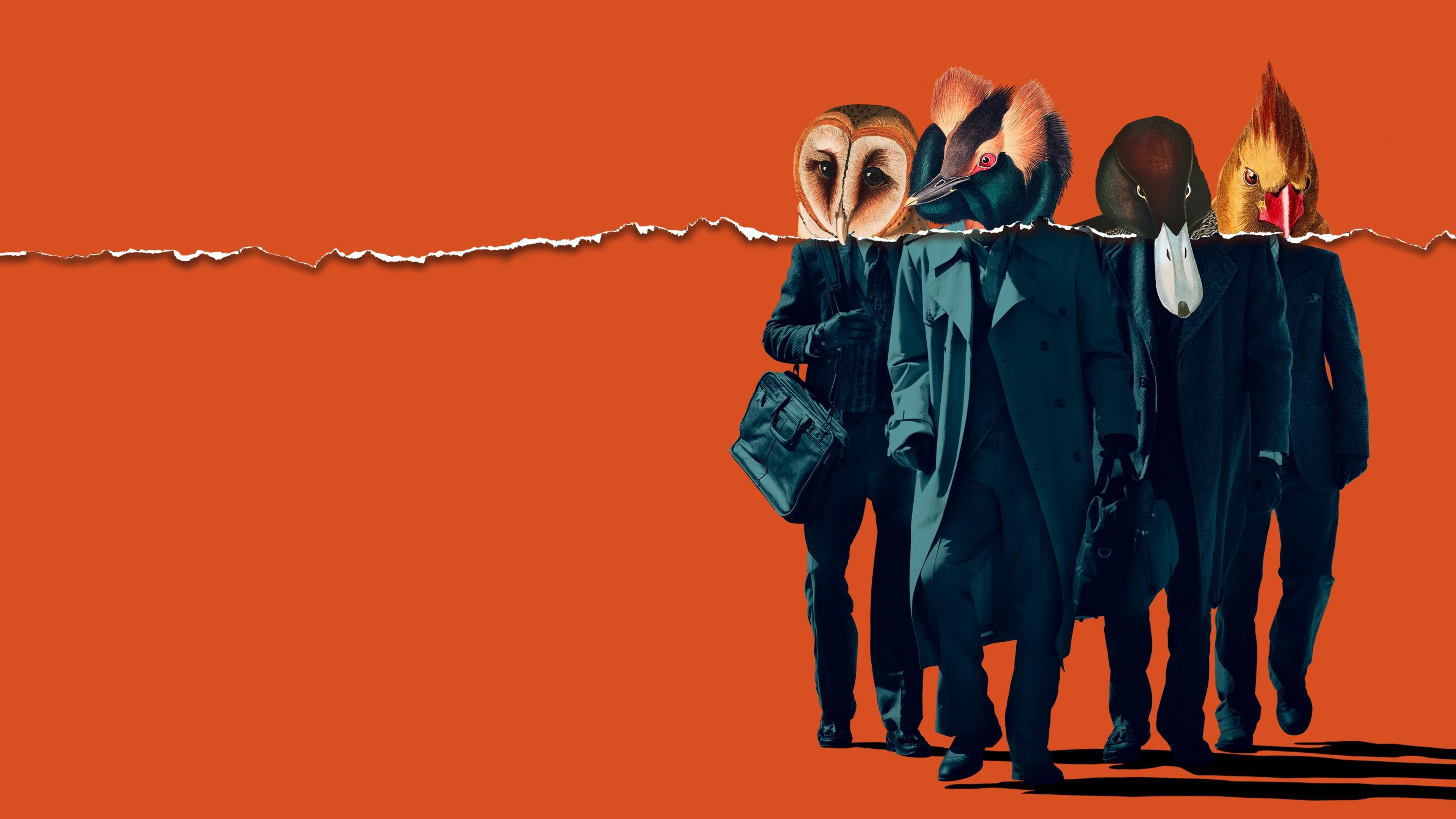 아메리칸 애니멀스