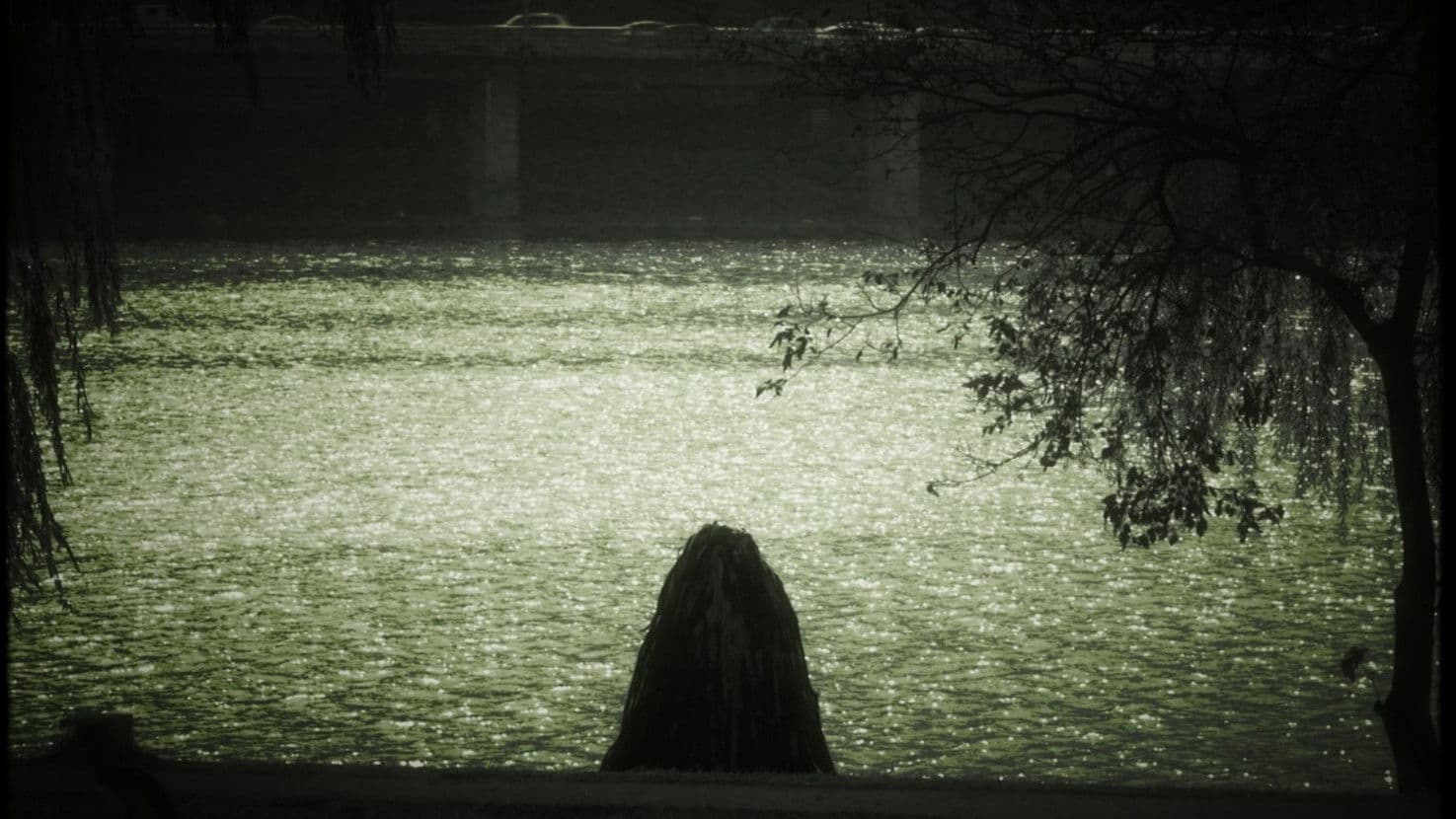 몬스트로 옵스큐라