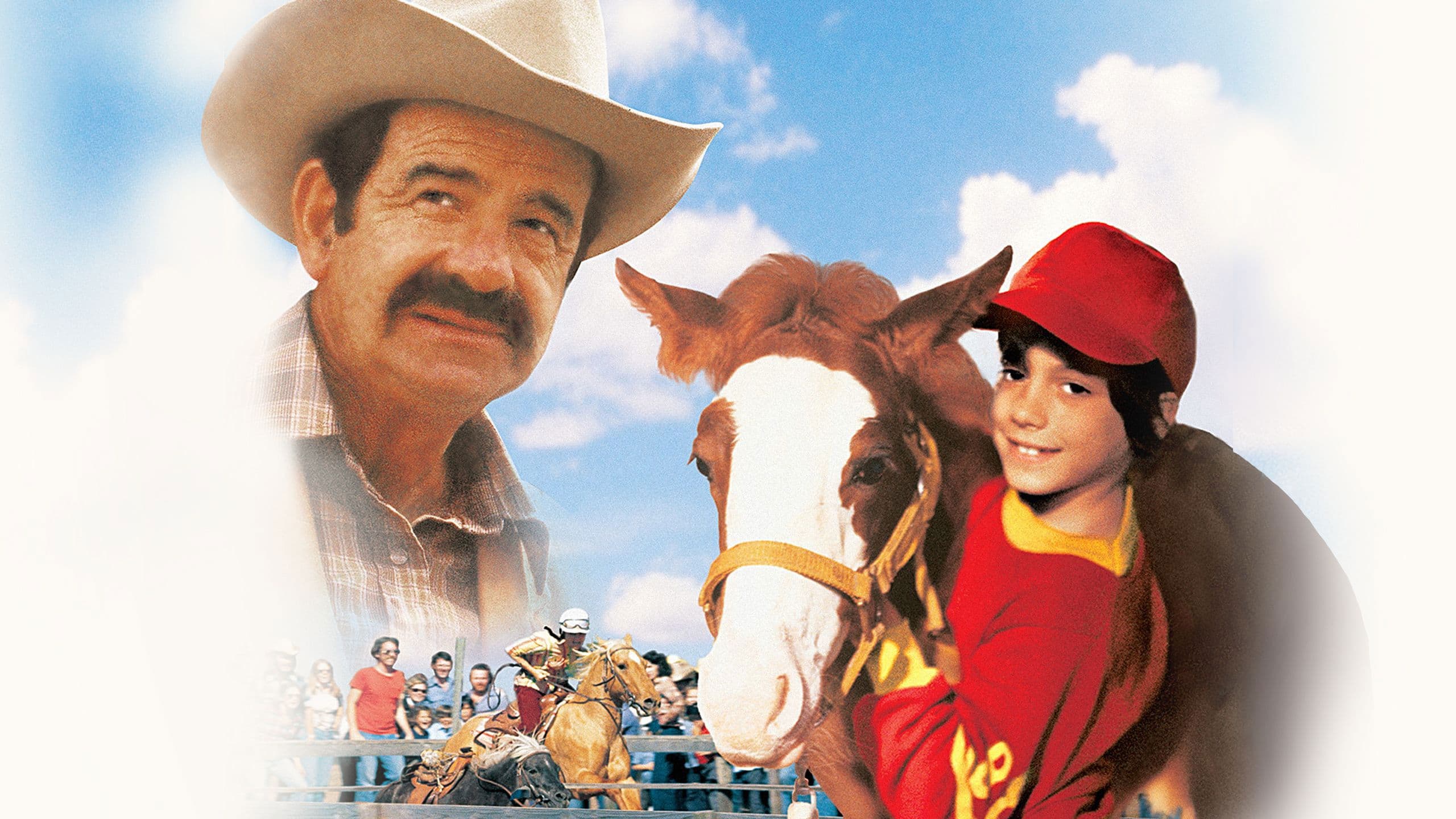 케이시의 그림자