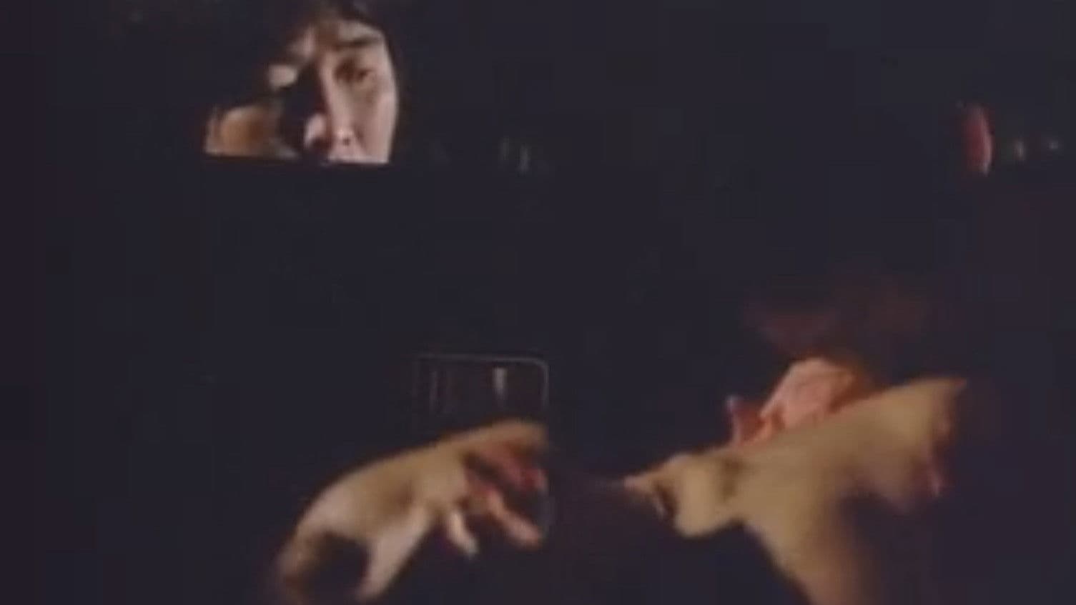 十三人連続暴行魔