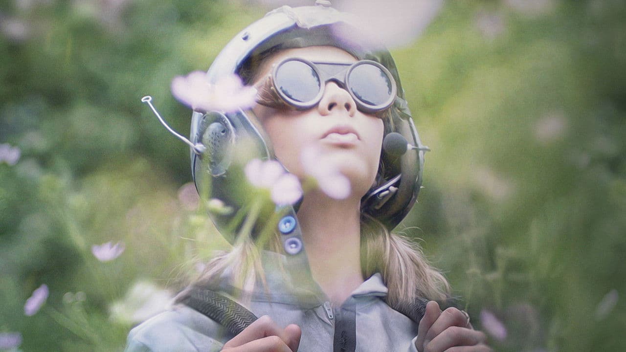 미어캣 달 우주선