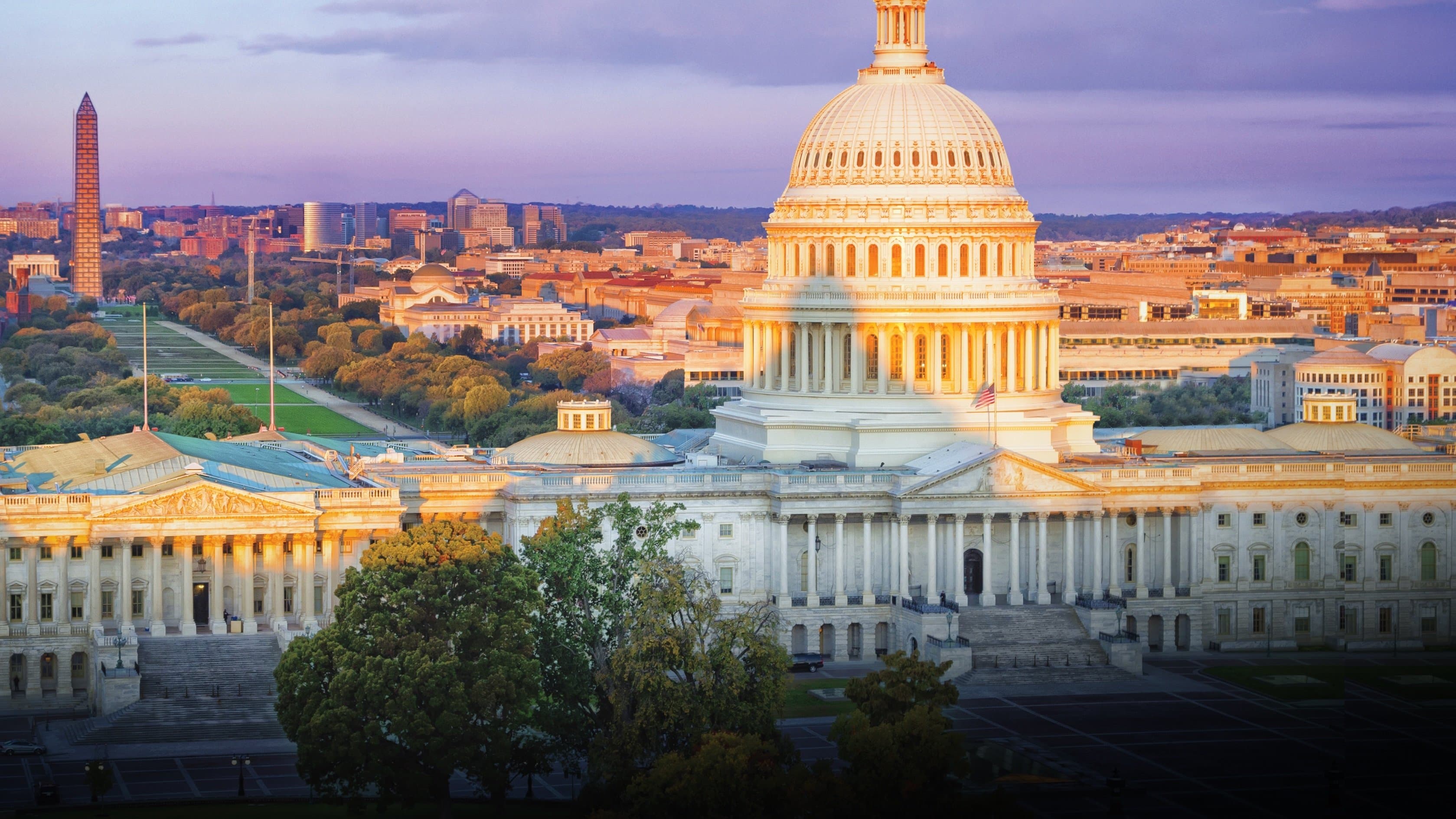 에이리얼 아메리카