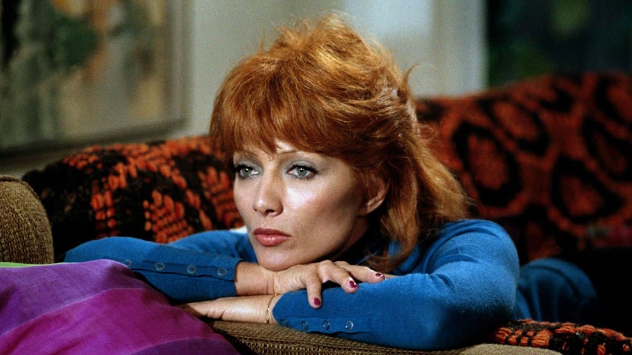 어두워지기 전에