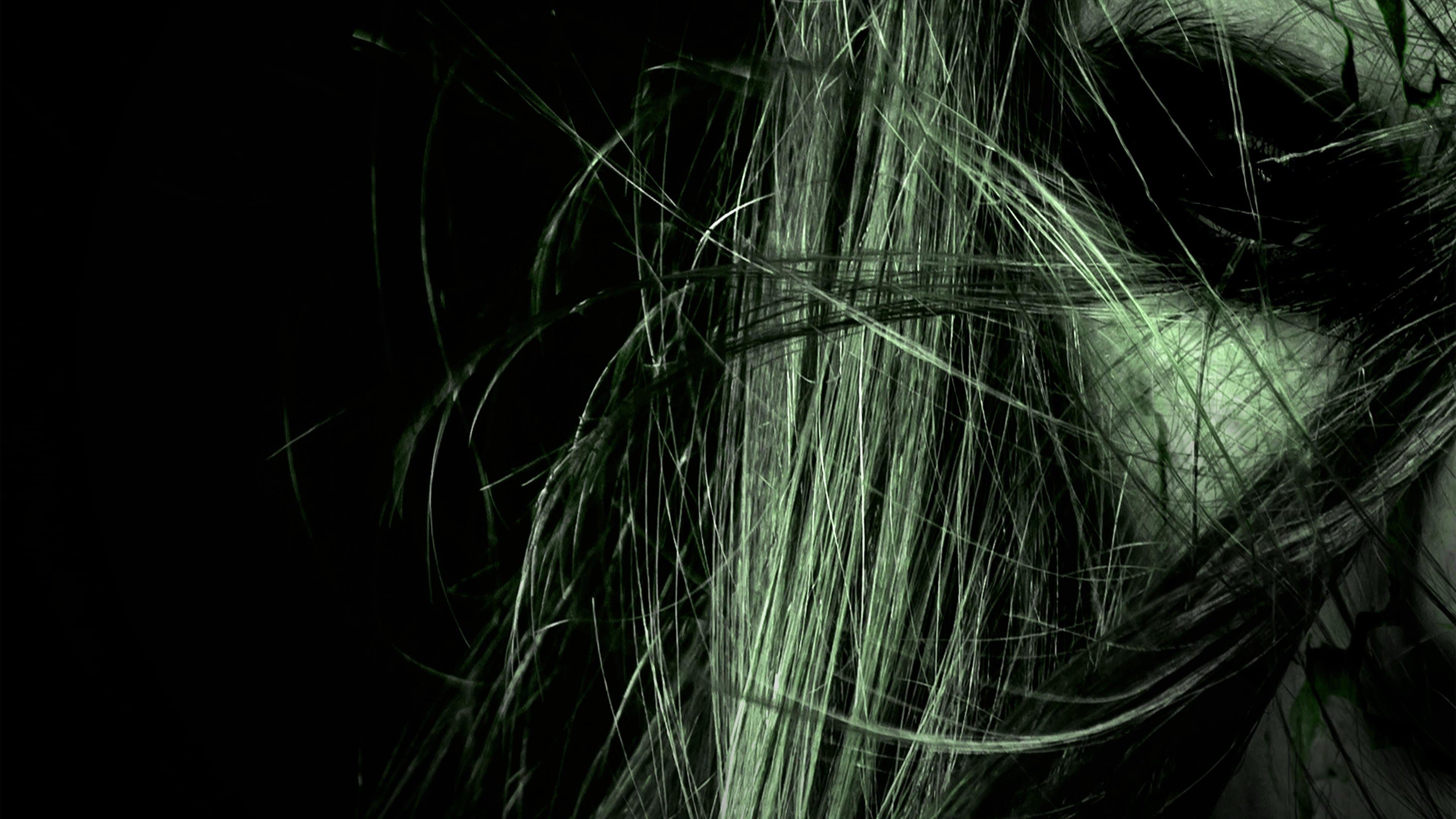 애비게일의 저주