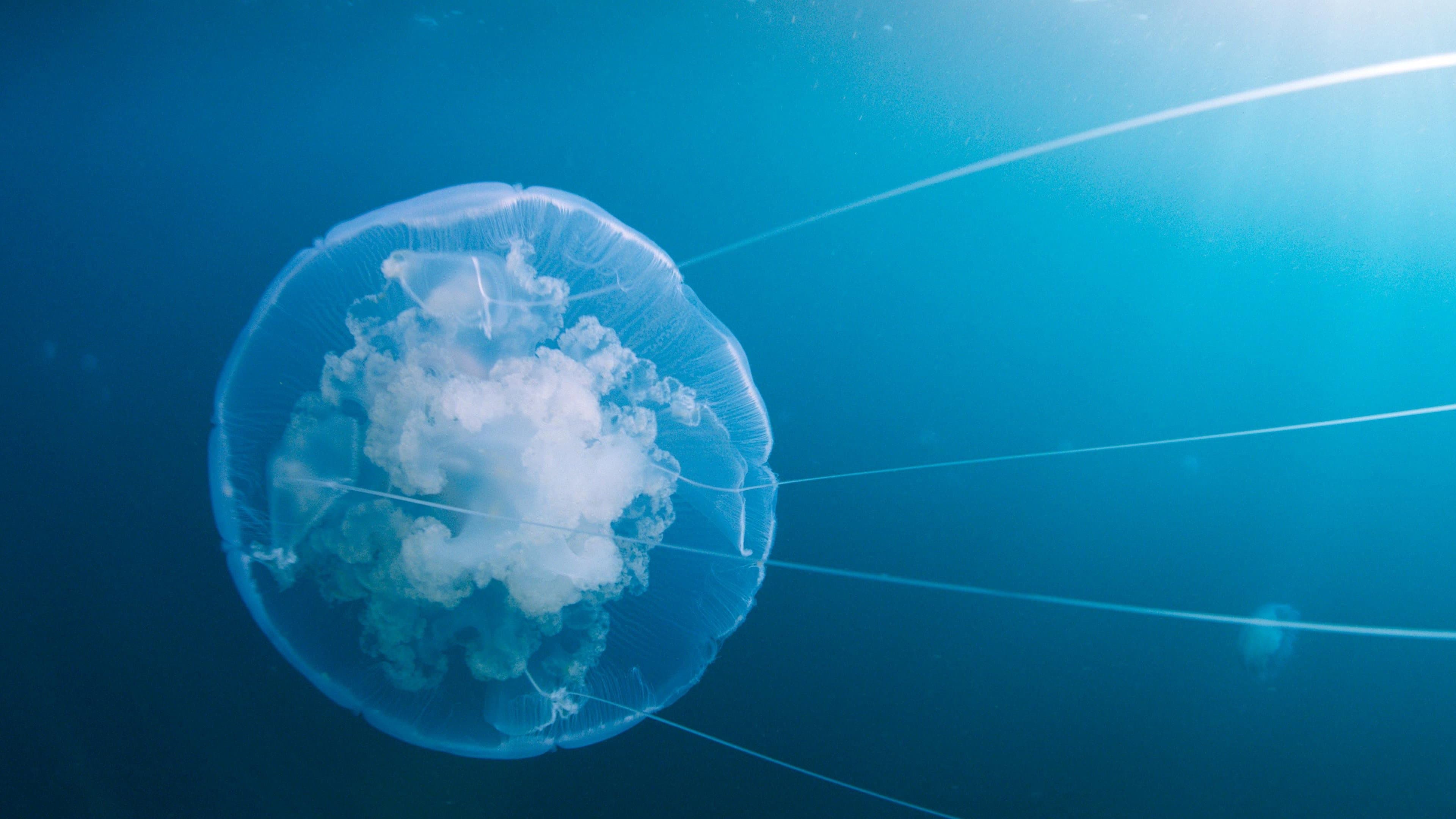 보이지 오브 타임