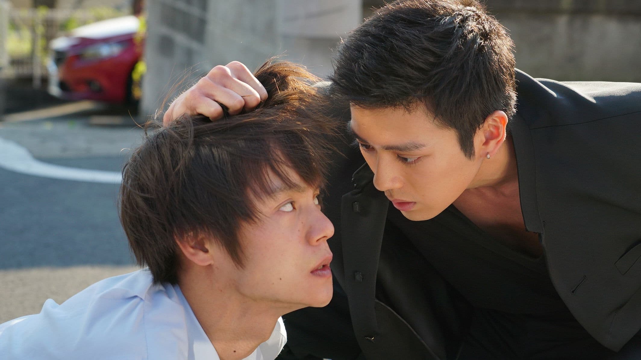 우리들이 했습니다