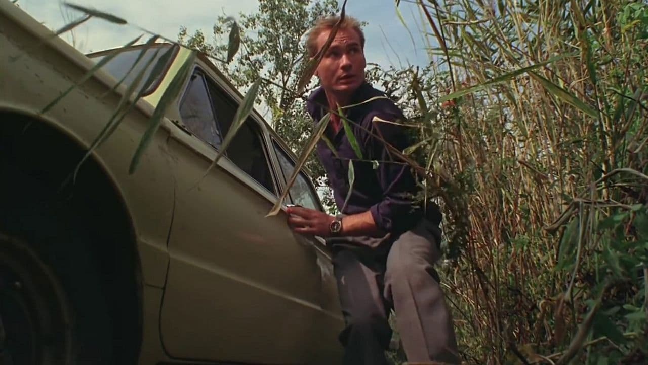 Америкэн Бой