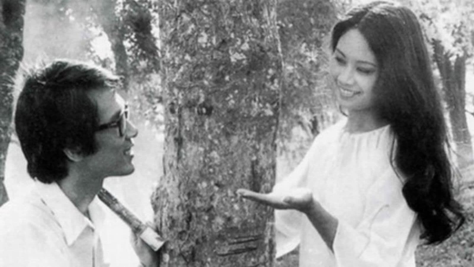 Thị xã trong tầm tay