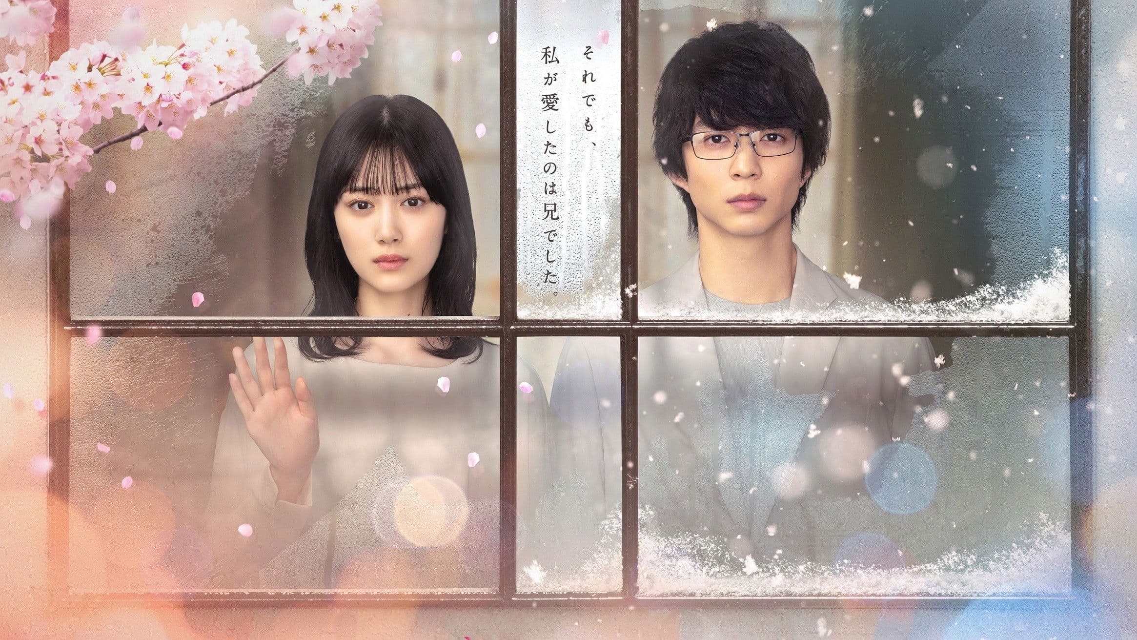 안녕, 아름다운 날