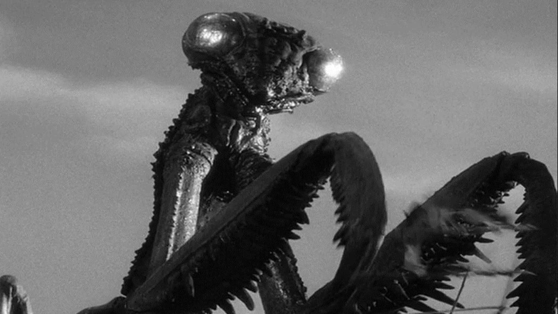 더 데들리 맨티스