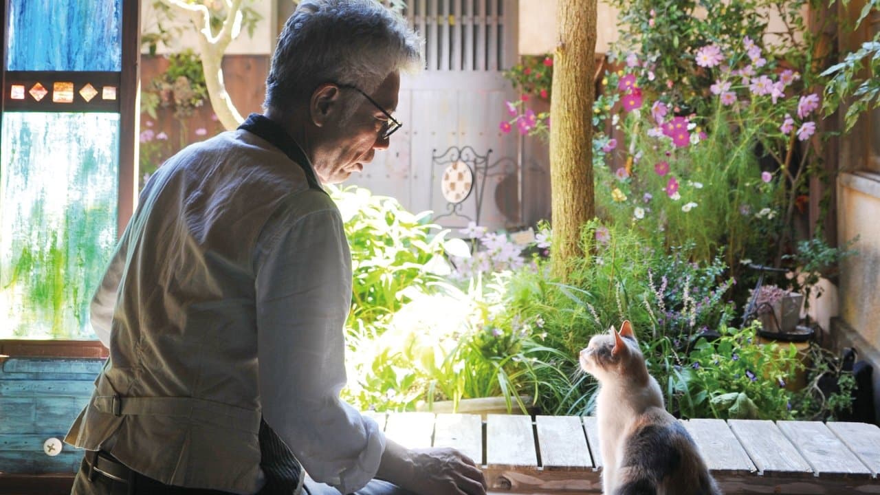 선생님과 길고양이