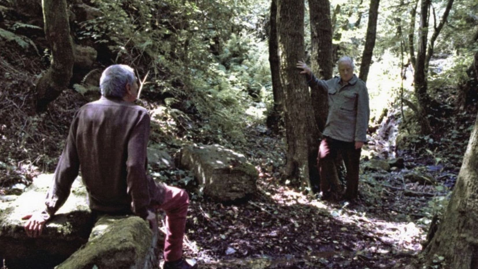 아르테미스의 무릎