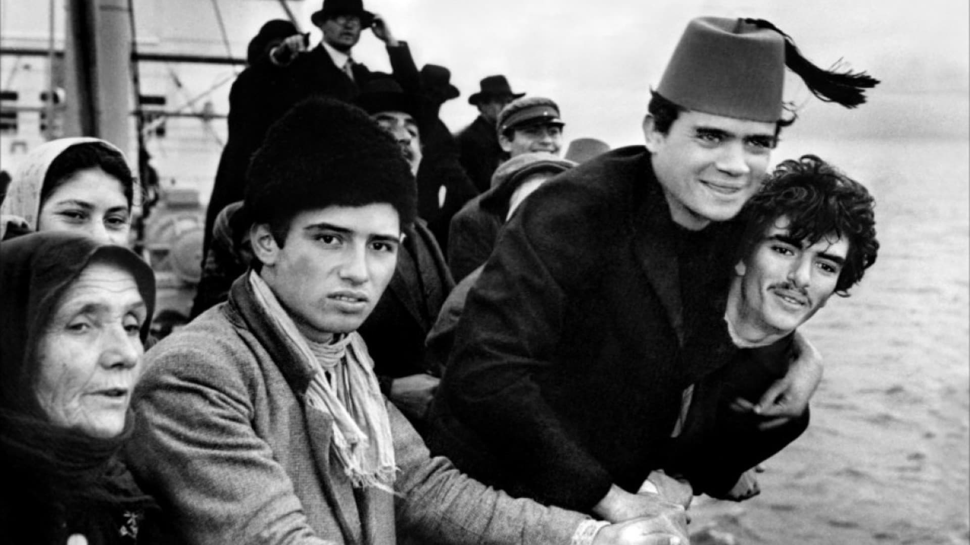 아메리카 아메리카