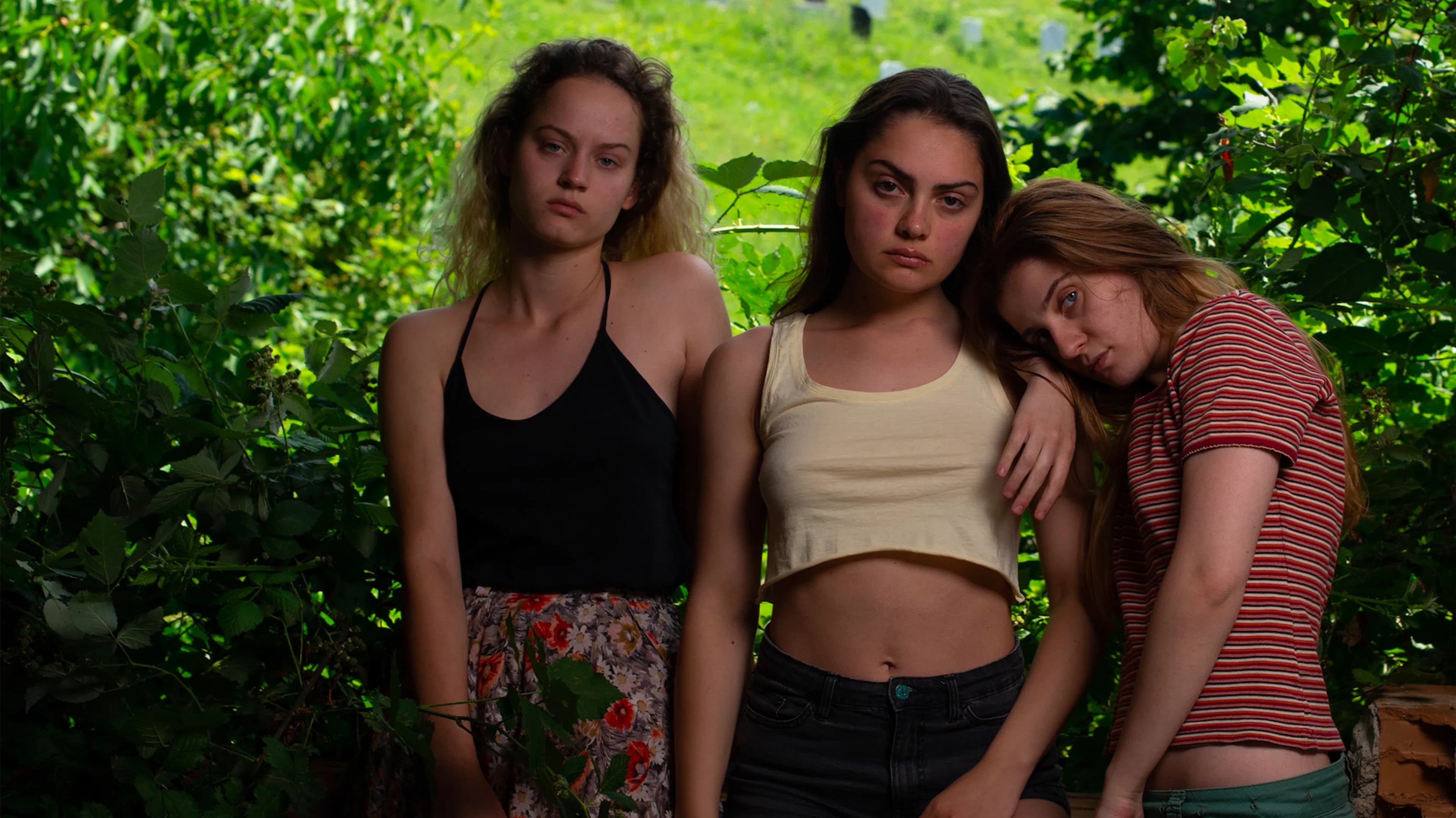 암사자들이 포효하는 언덕