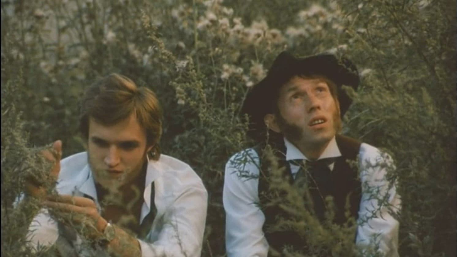 Бакенбарды