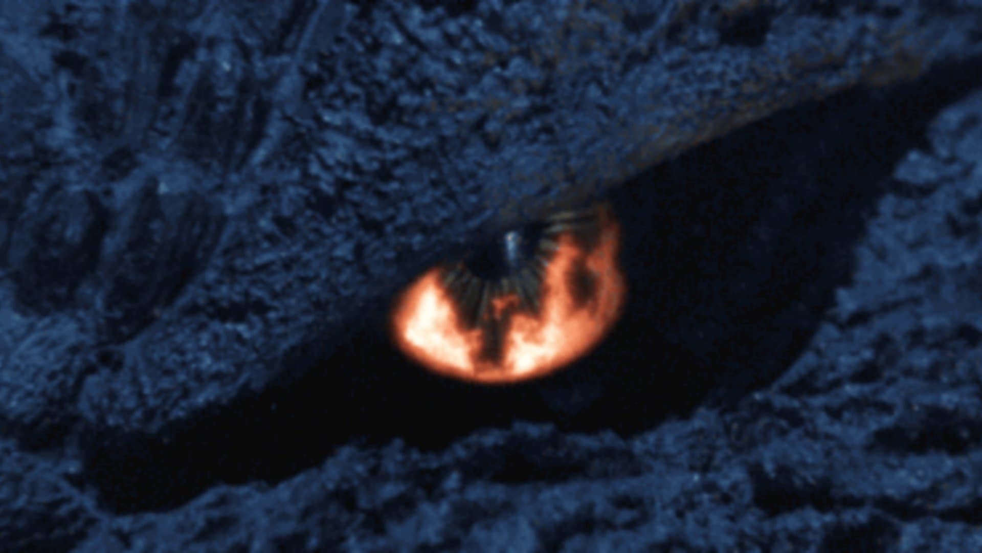 고지라: 파이널 워즈