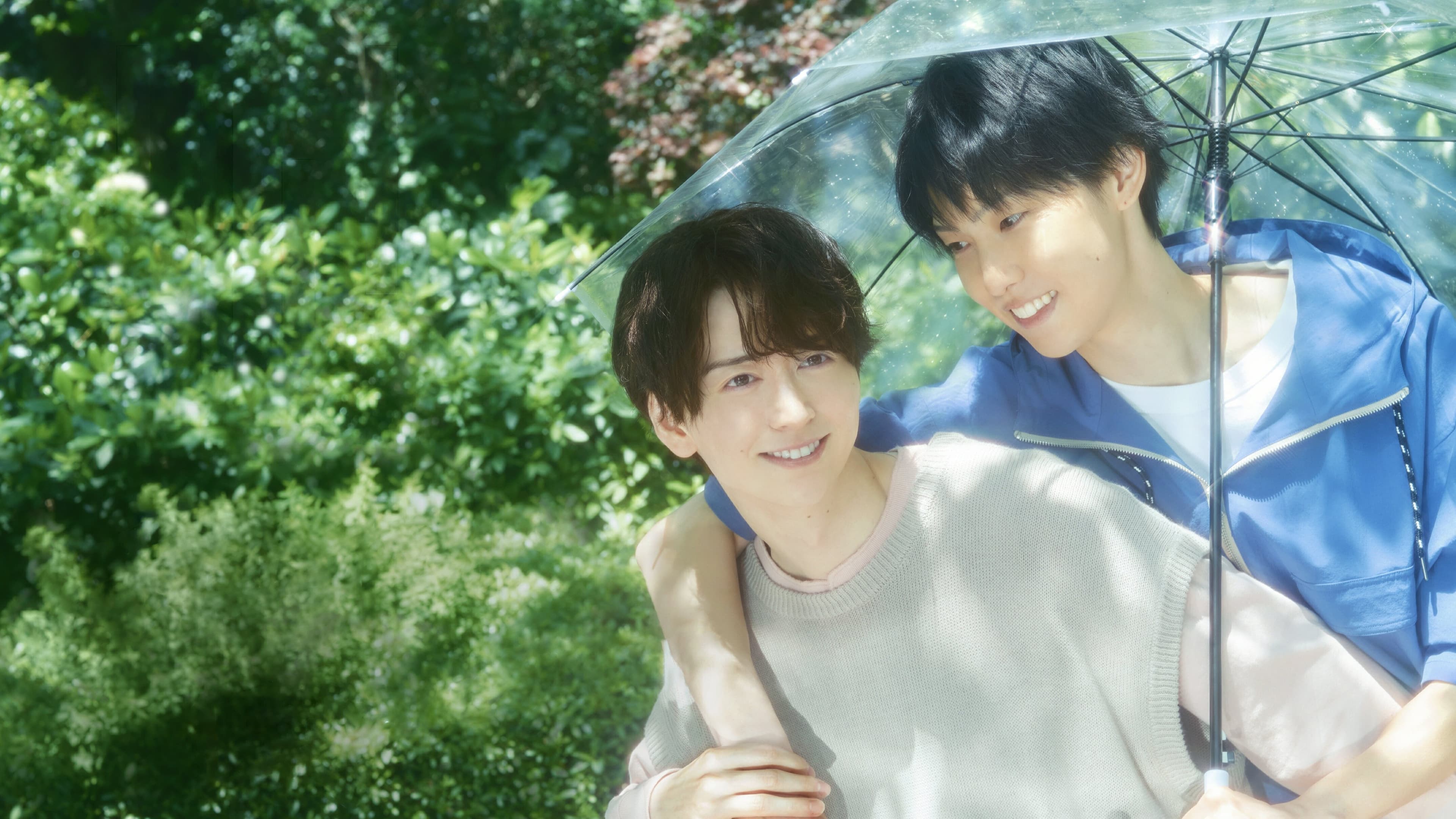 비 갠 뒤 우리들을 따라