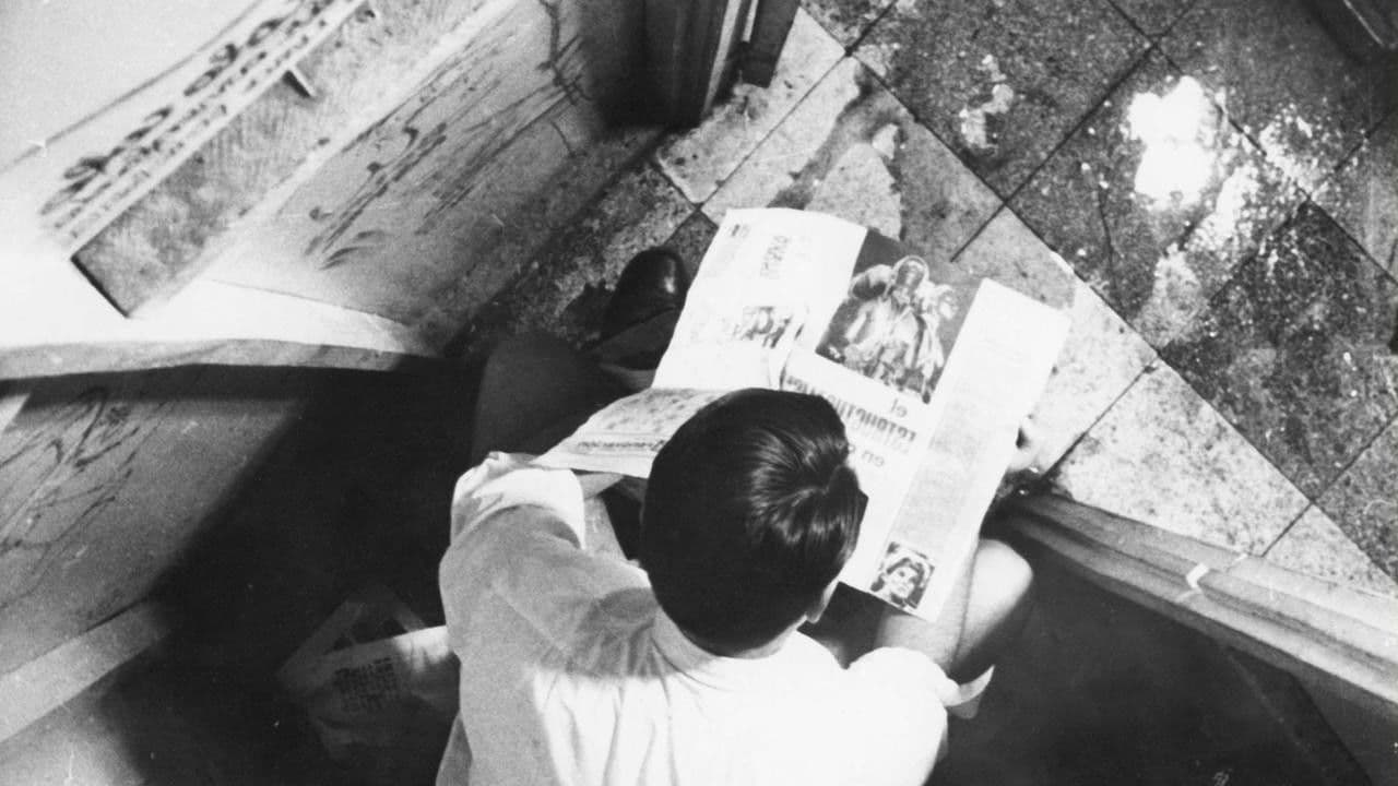 세 마리의 슬픈 호랑이