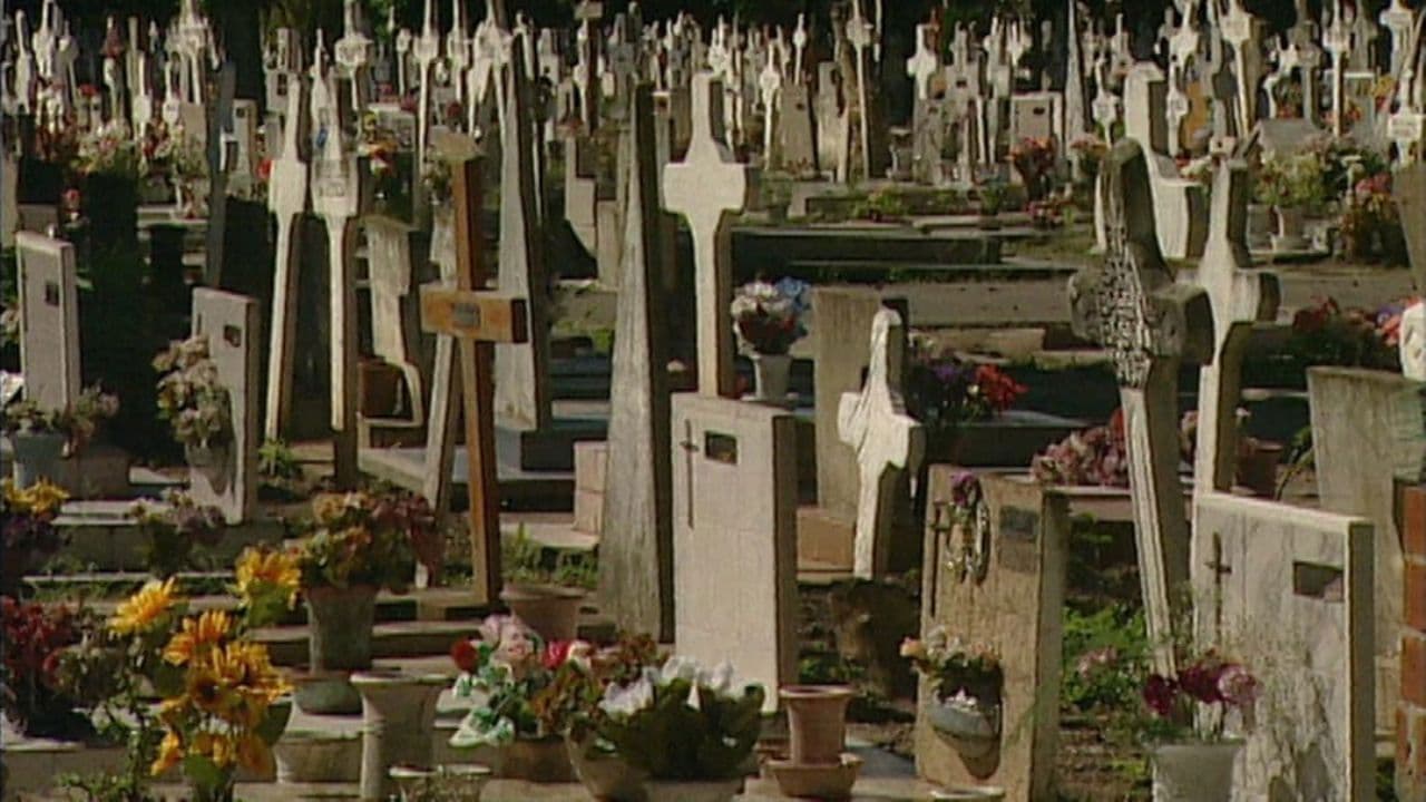 Generación desaparecida