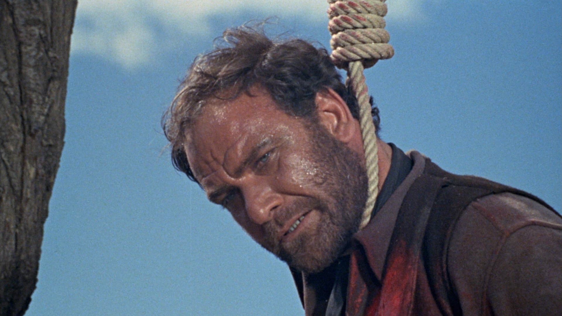 십자가 없는 묘지