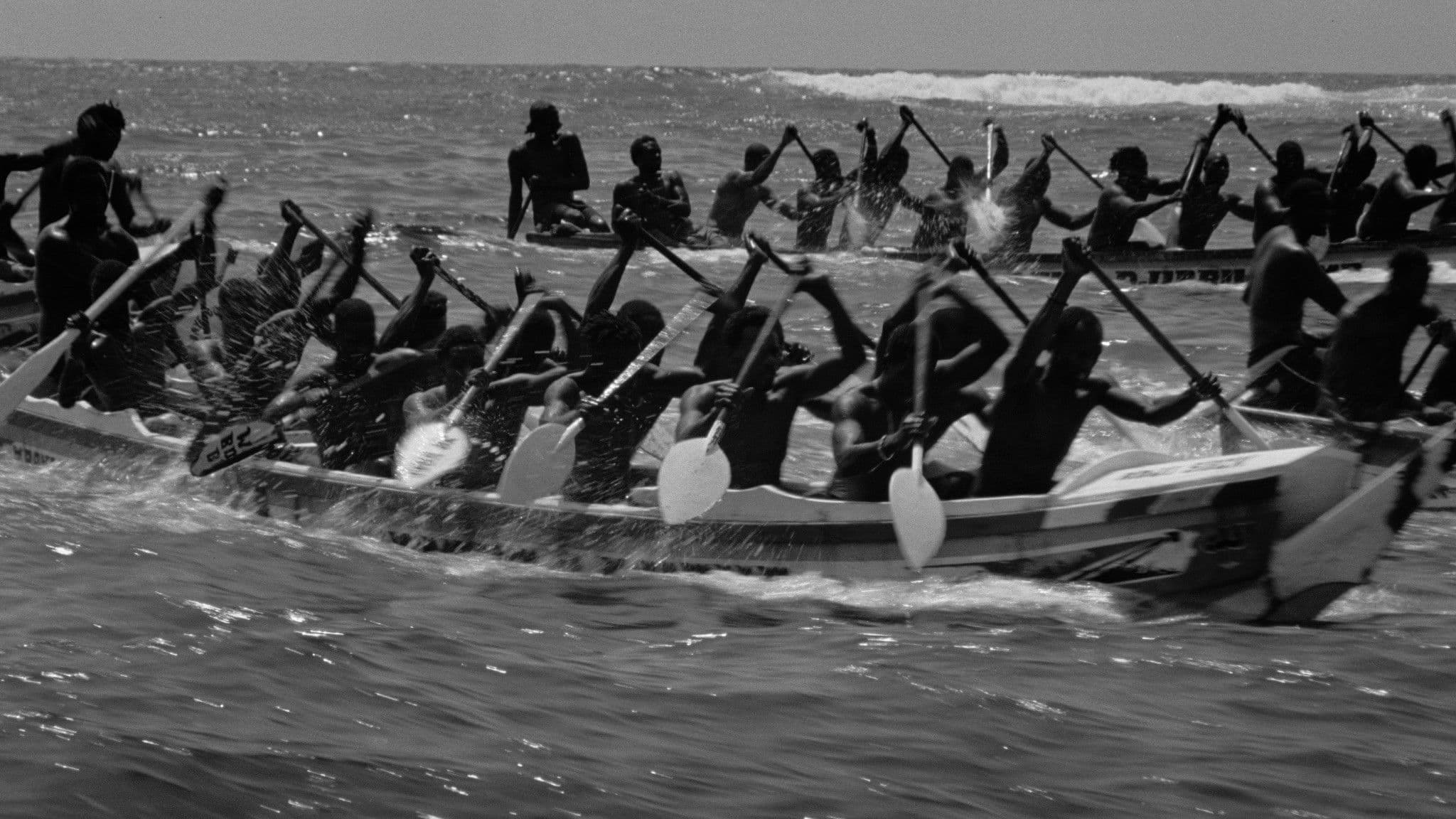 All Day I Dream About Sport