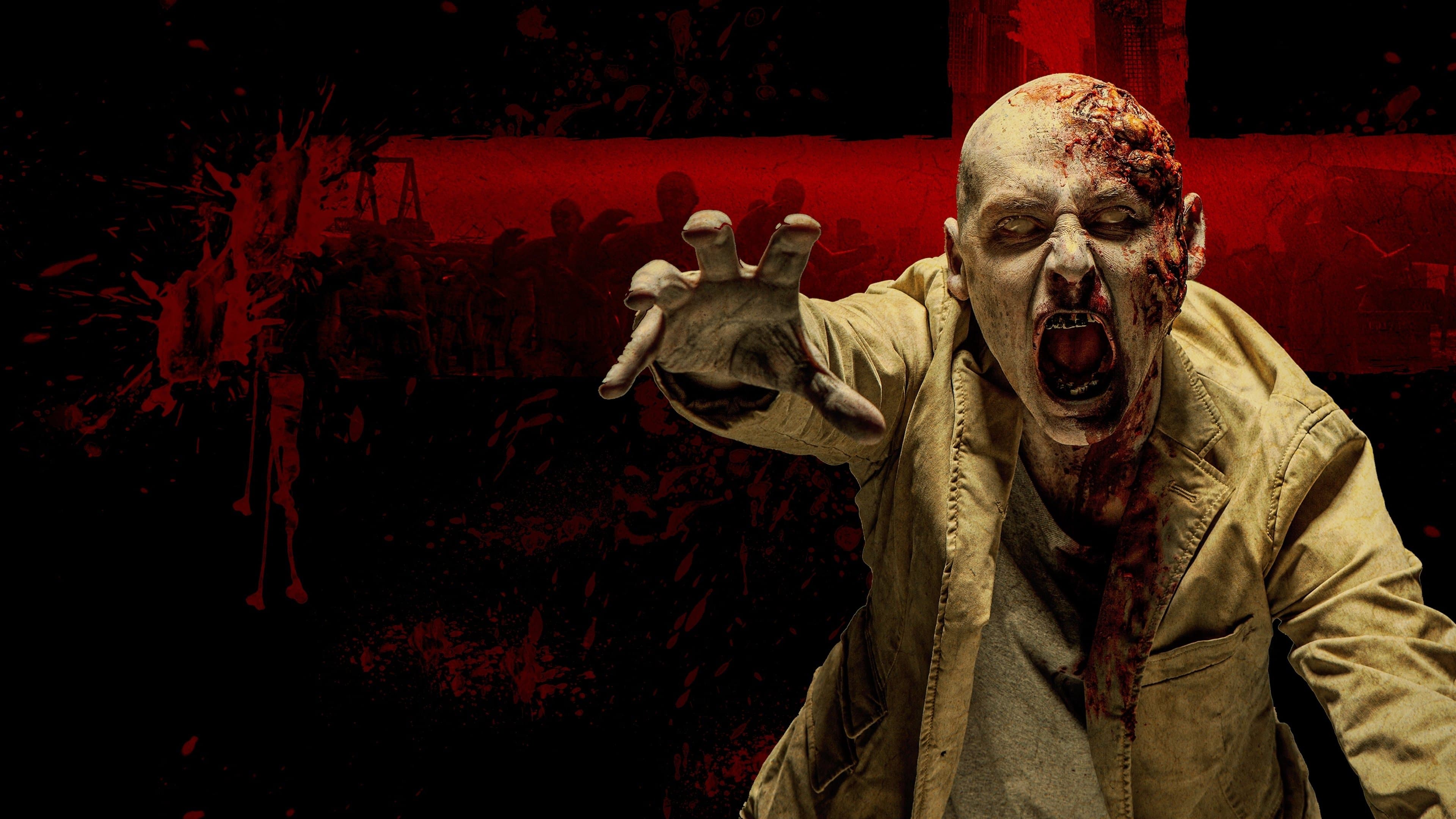 파라다이스 좀비