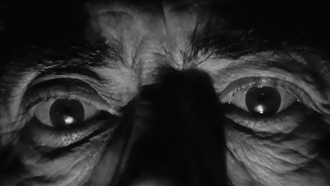 테이스트 오브 피어