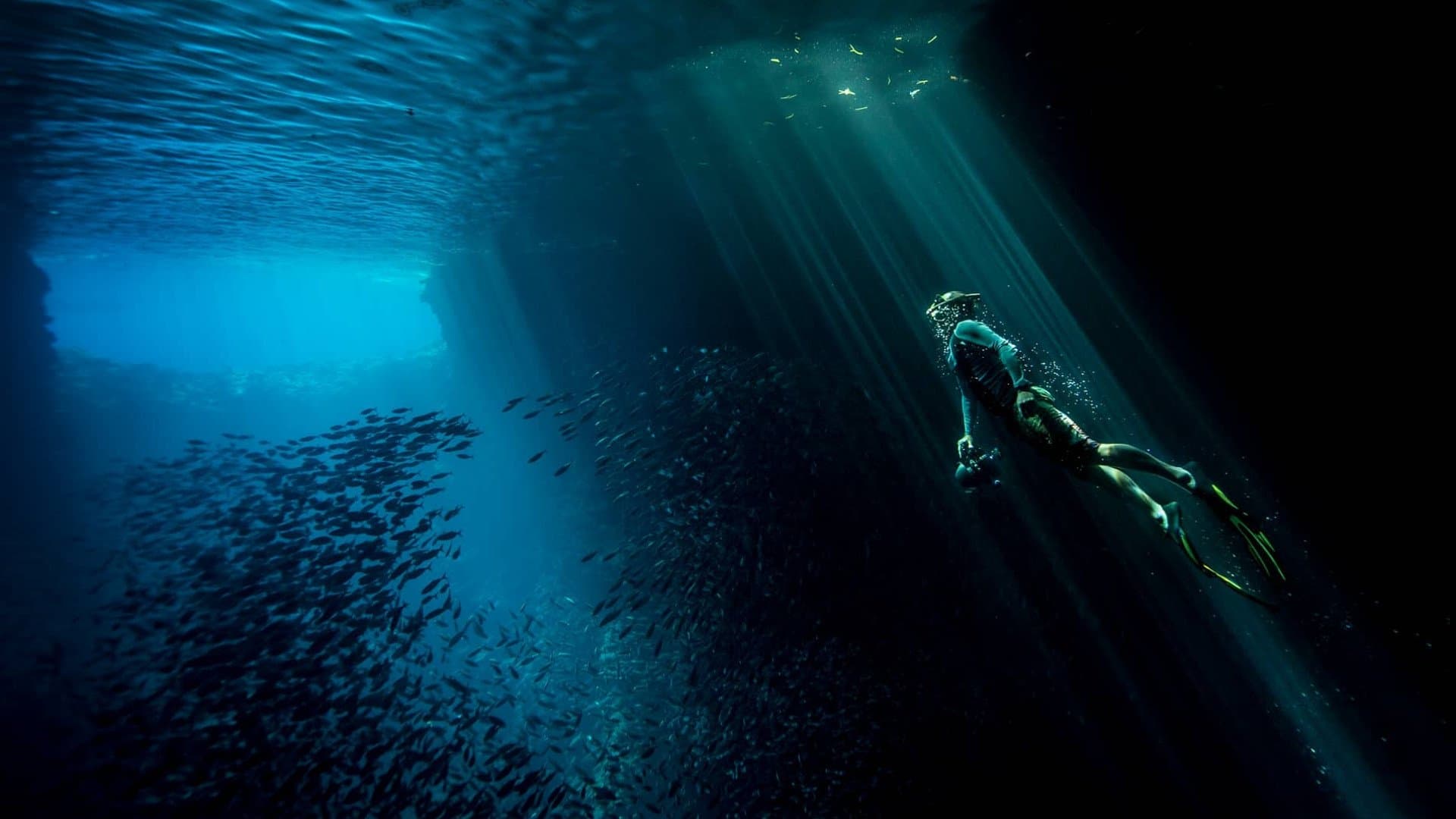 빛으로 그린 이야기
