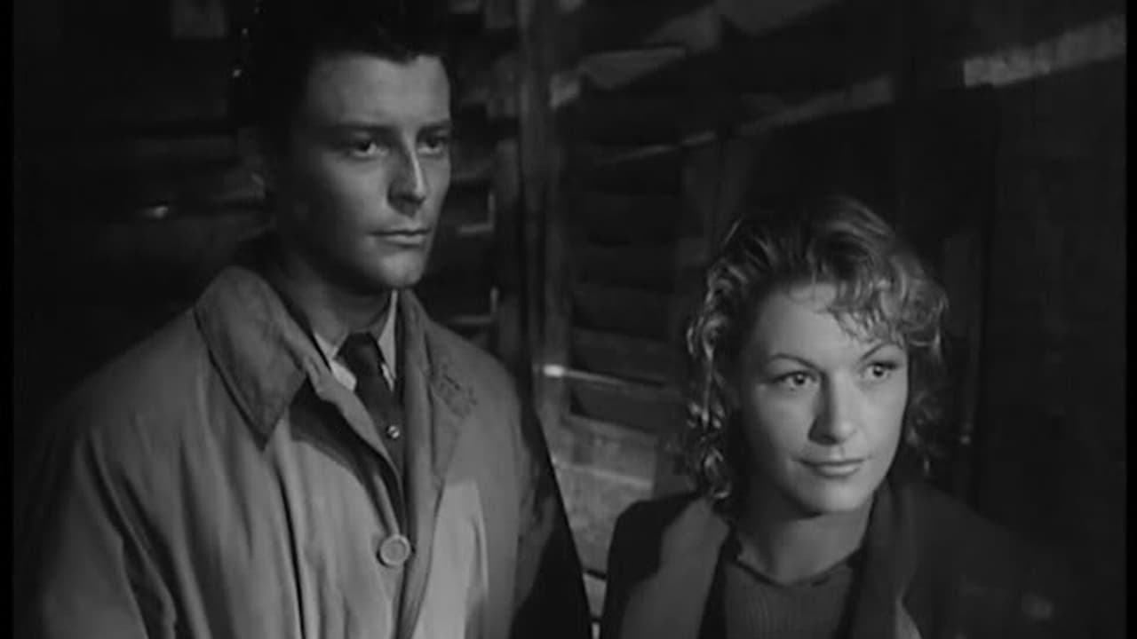 아름답고 작은 해변