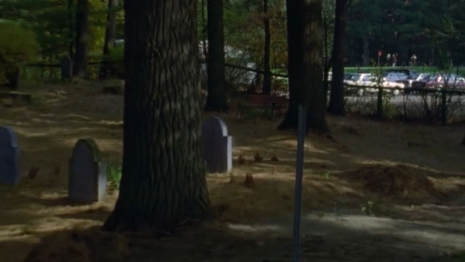 카네사테이크: 270 이어스 오브 레지스턴스