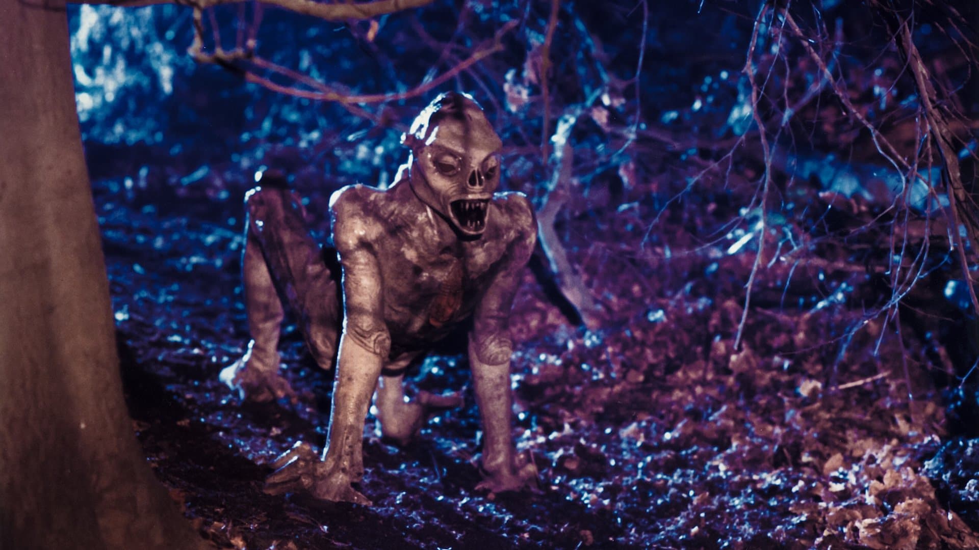 우주 괴물 엑스트로