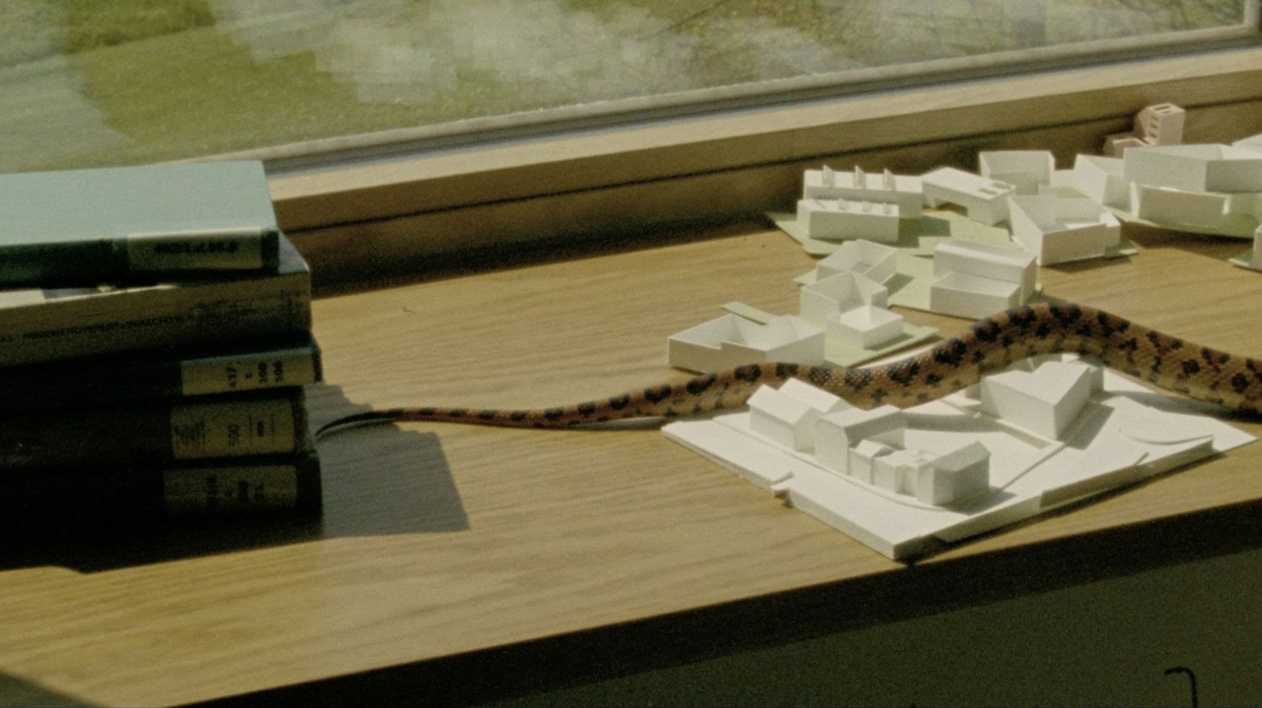 여기 아래에 나무