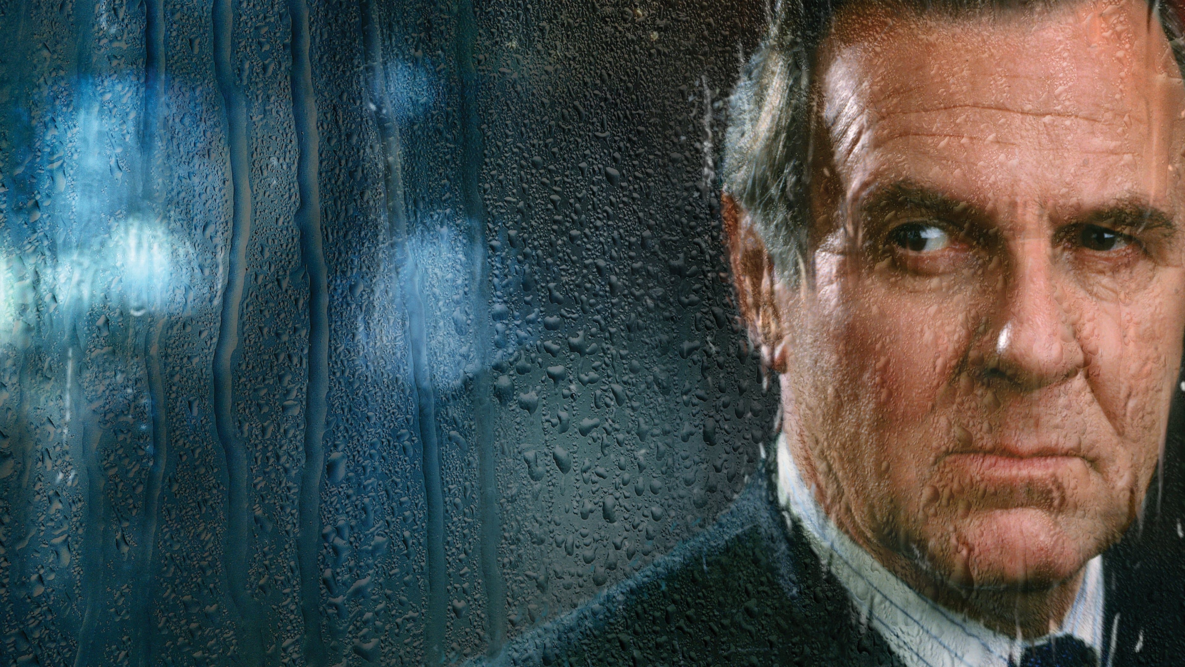 세퍼레이트 라이즈