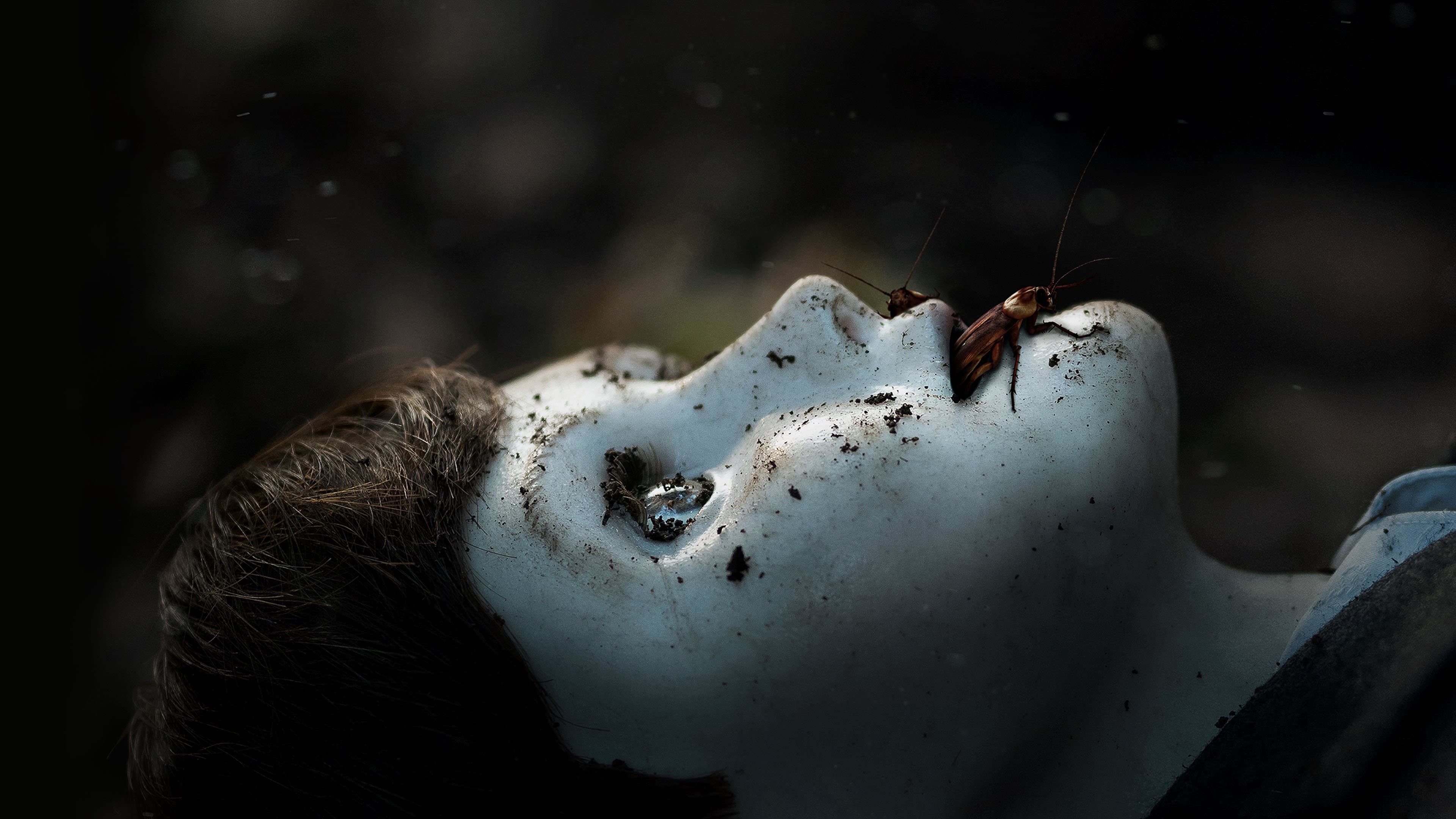 더 보이 2: 돌아온 브람스