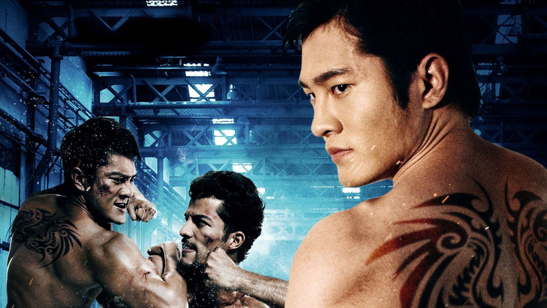 더 파이터: 파이널 라운드