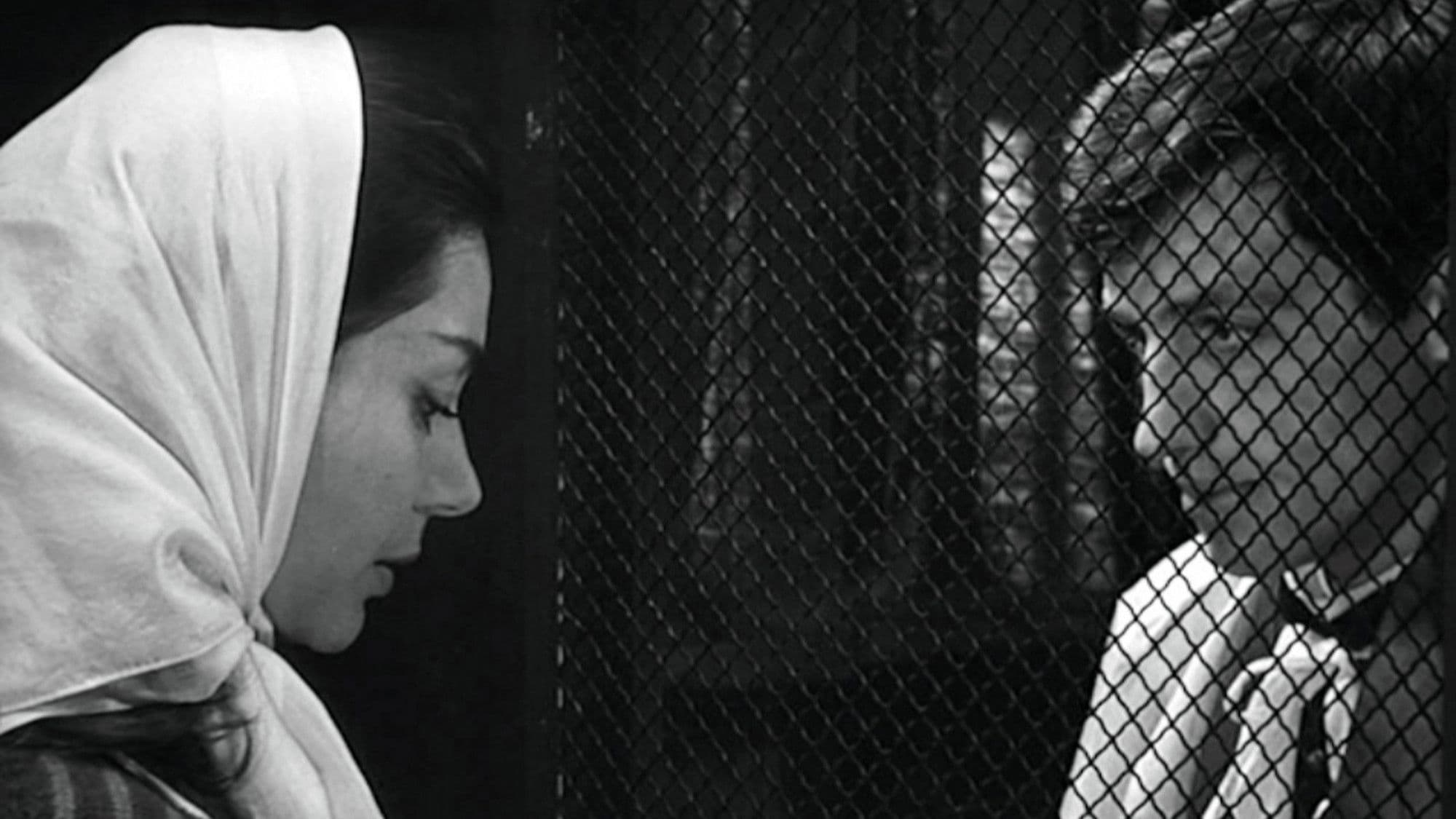 레옹 모랭 신부