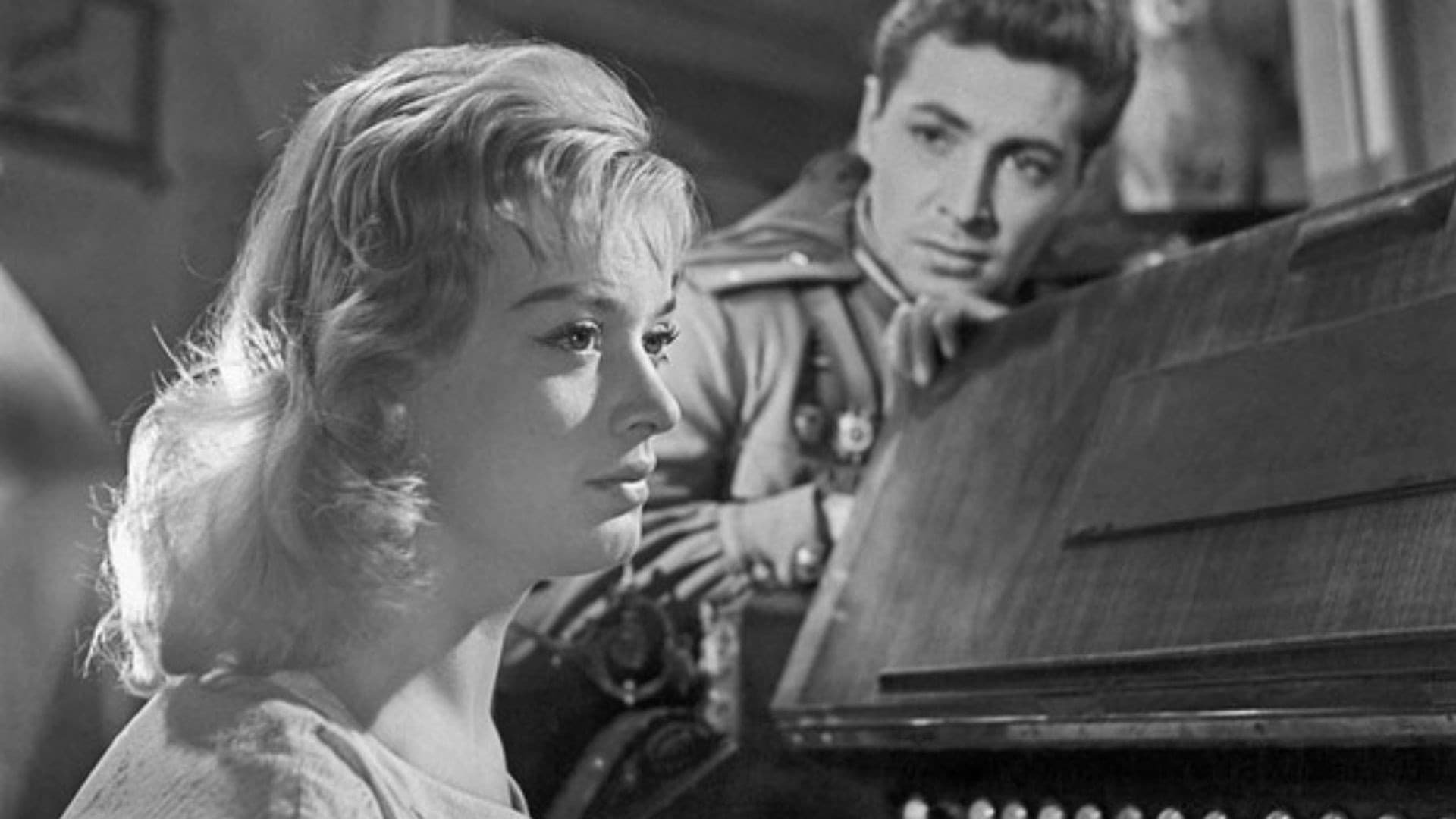 Майские звёзды