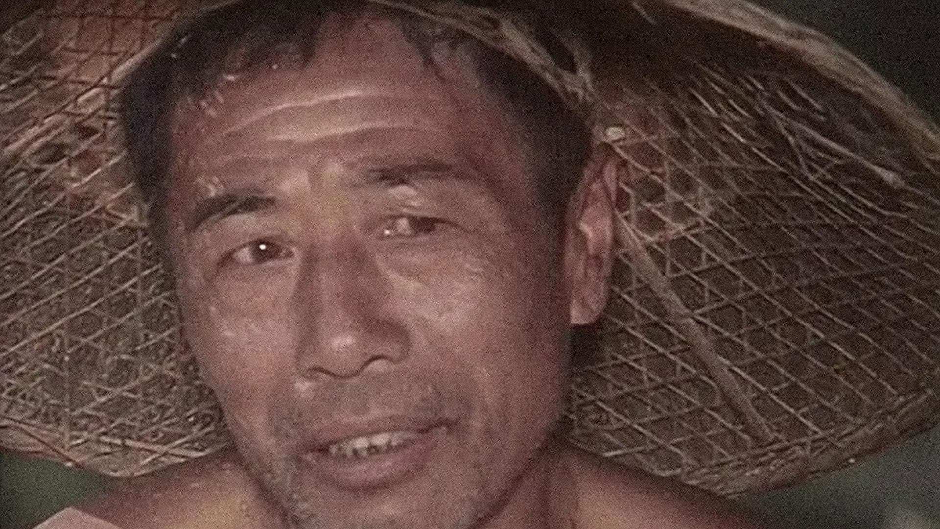 没有航标的河流