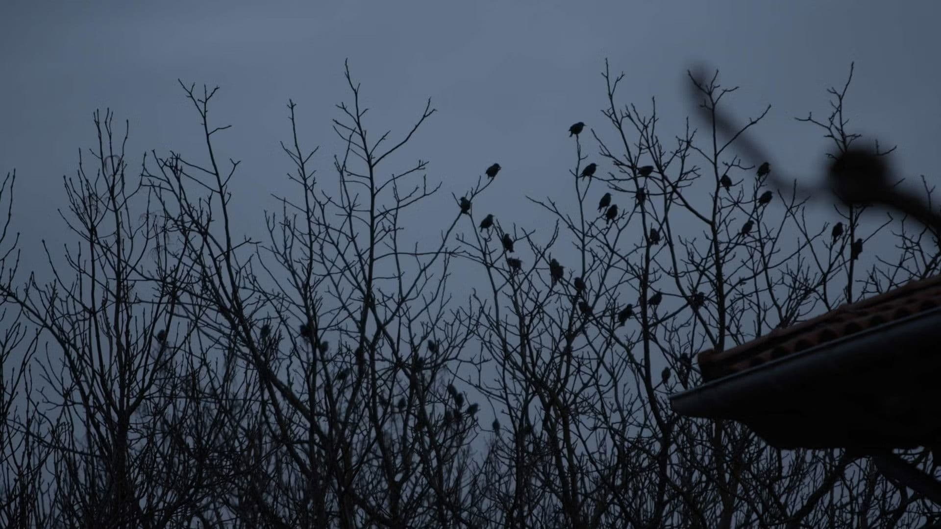 De lo urbano y lo rural