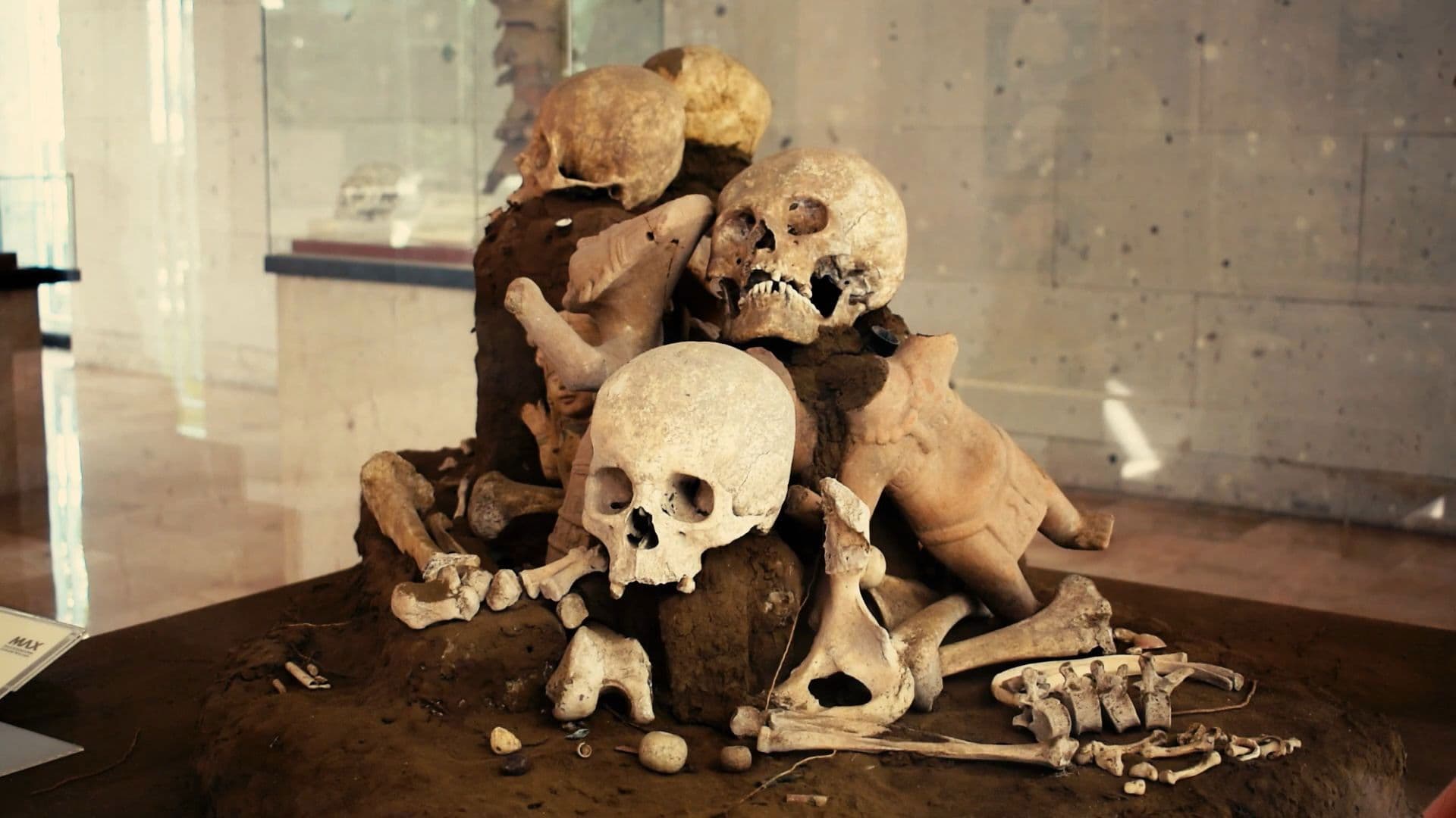 No Se Acabarán Mis Flores