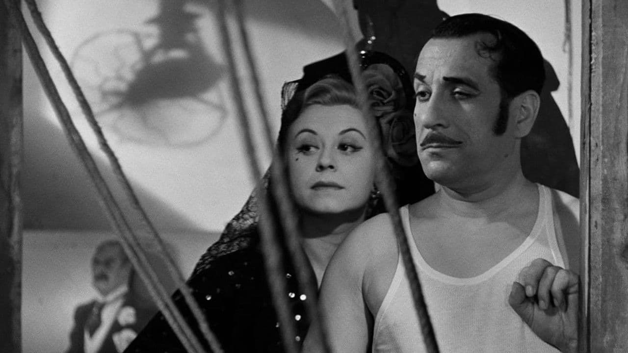 펠리니의 청춘군상