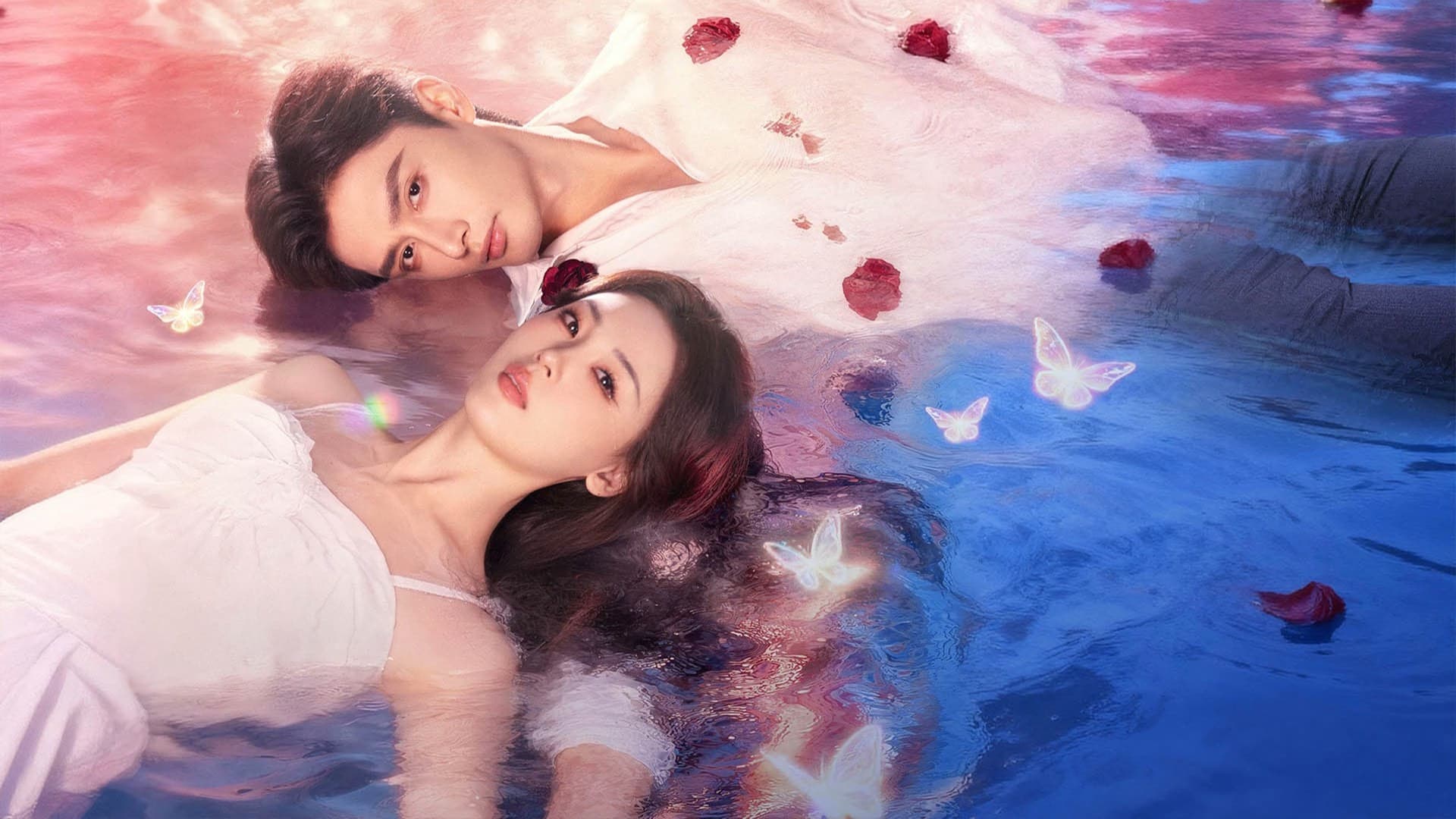 고치에서 나비로