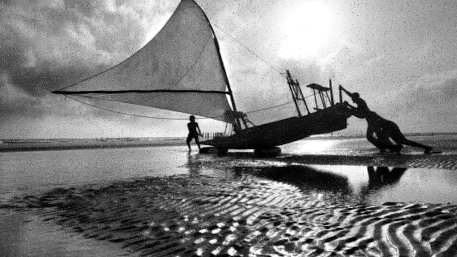 모두가 진실이다